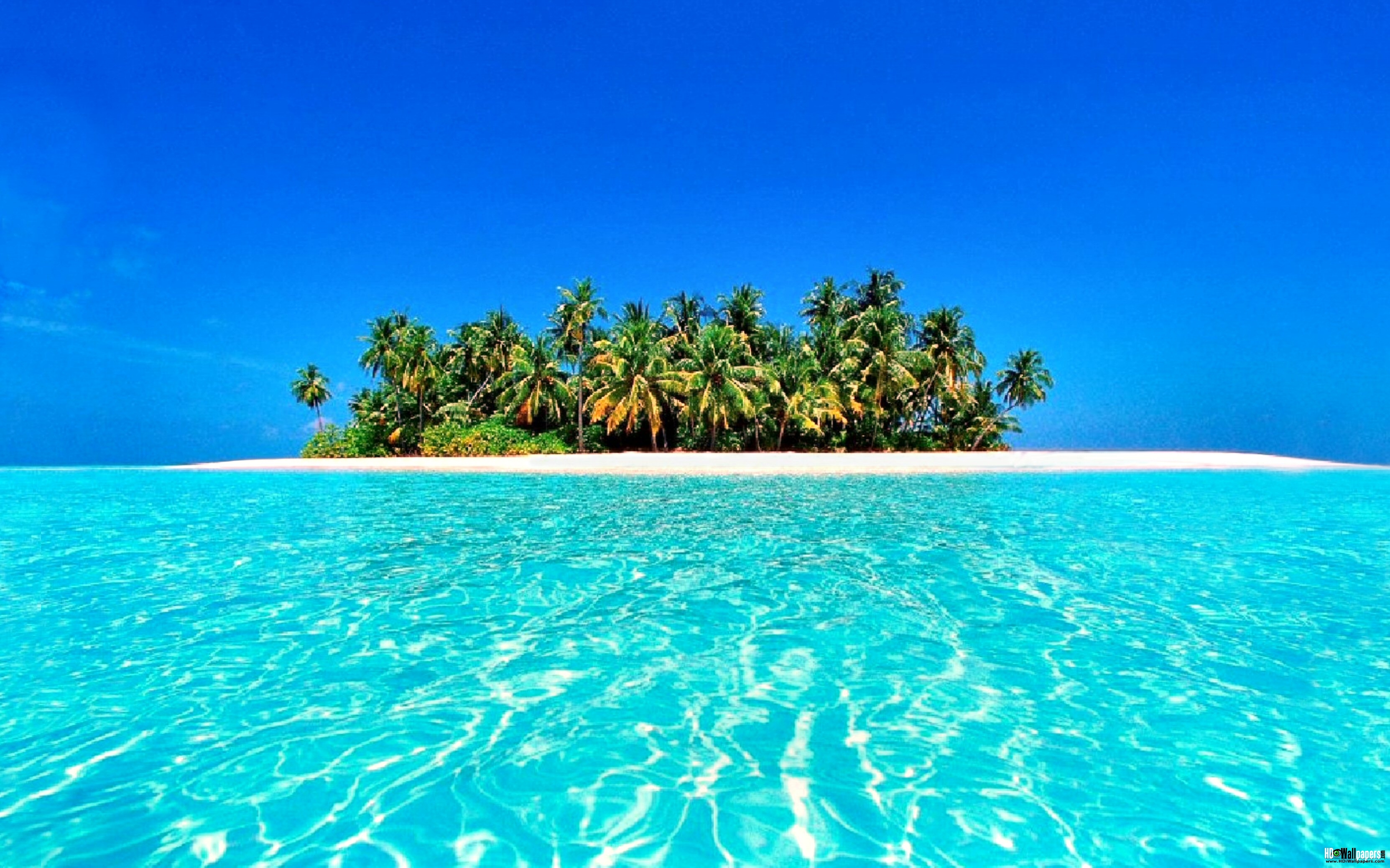 Tropical Beach Desktop Background