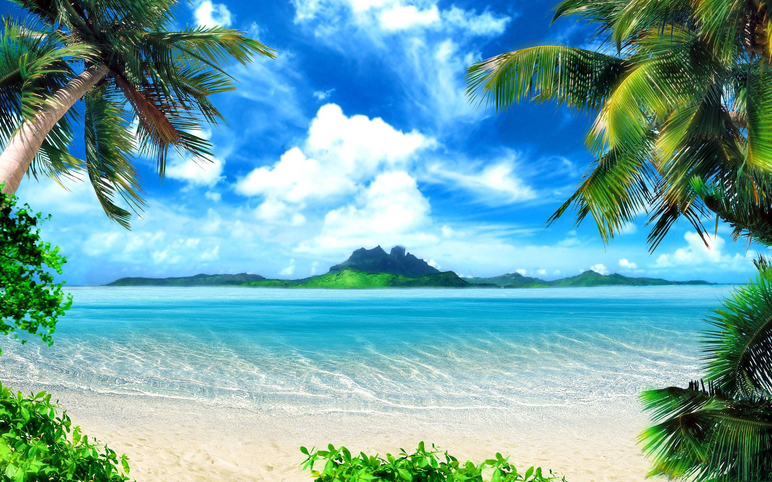 Tropical Desktop Background