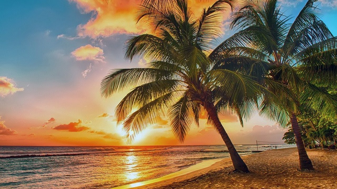 Tropical Summer Backgrounds