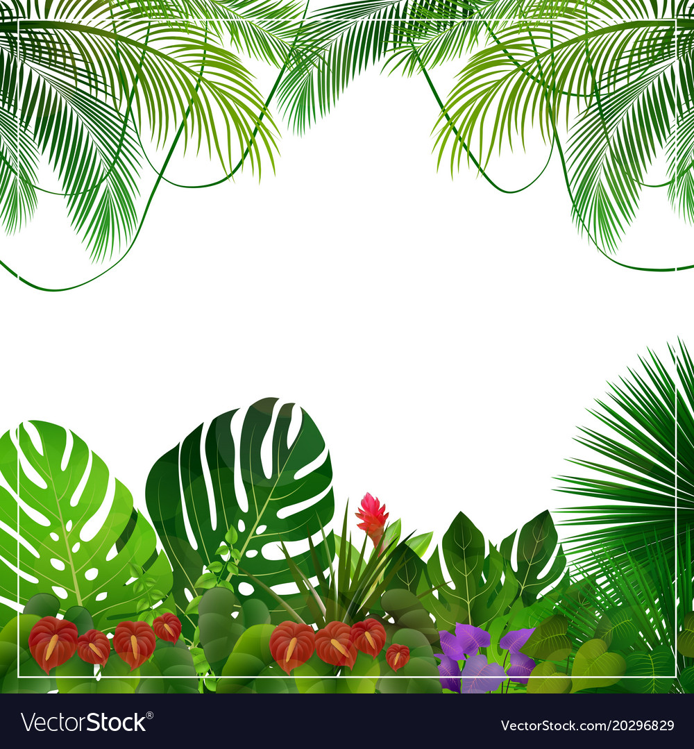 Tropical Vector Background