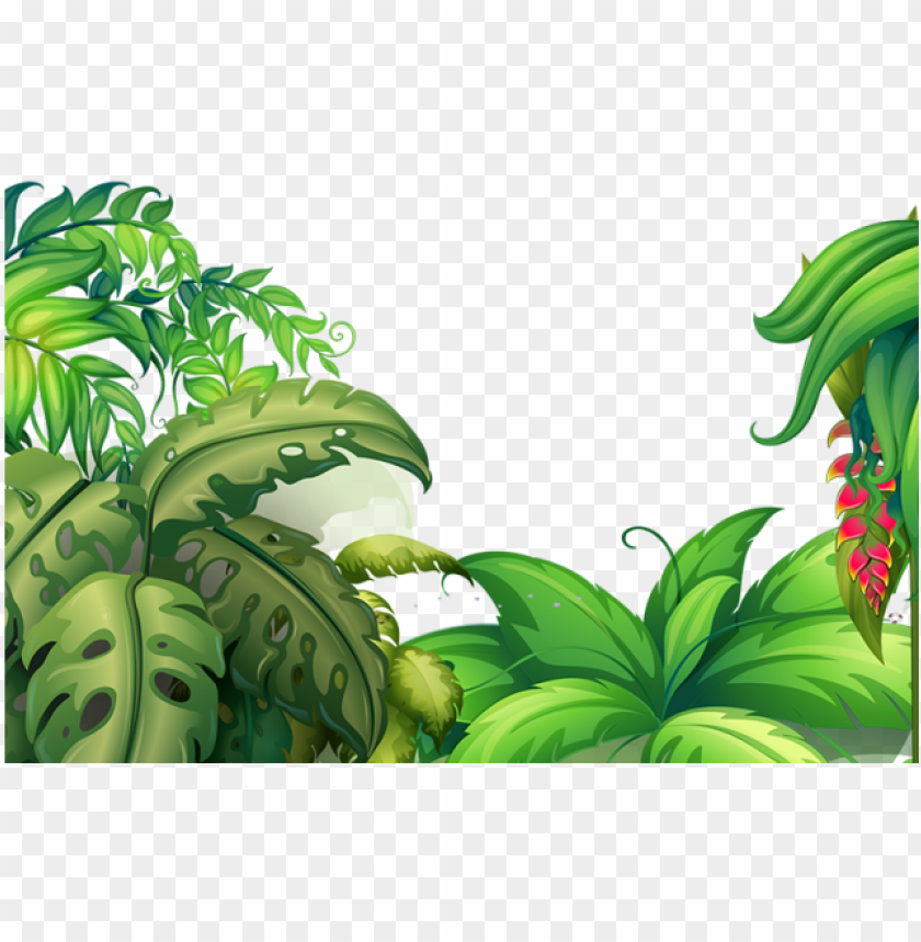 Tropical Vector Background