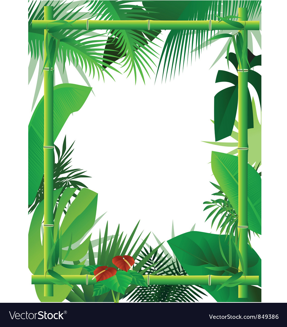 Tropical Vector Background