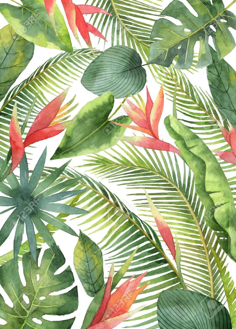 Tropical Watercolor Background