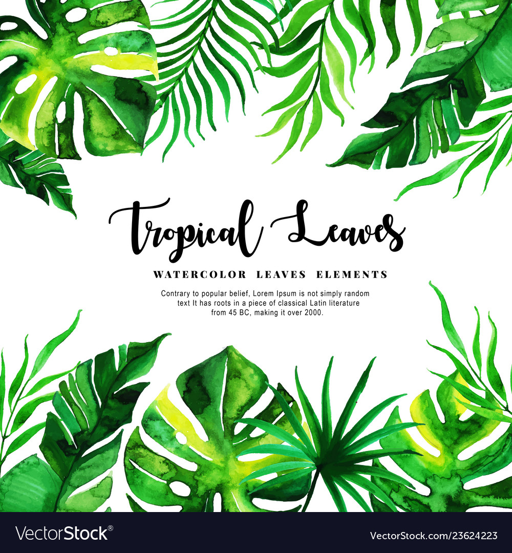 Tropical Watercolor Background