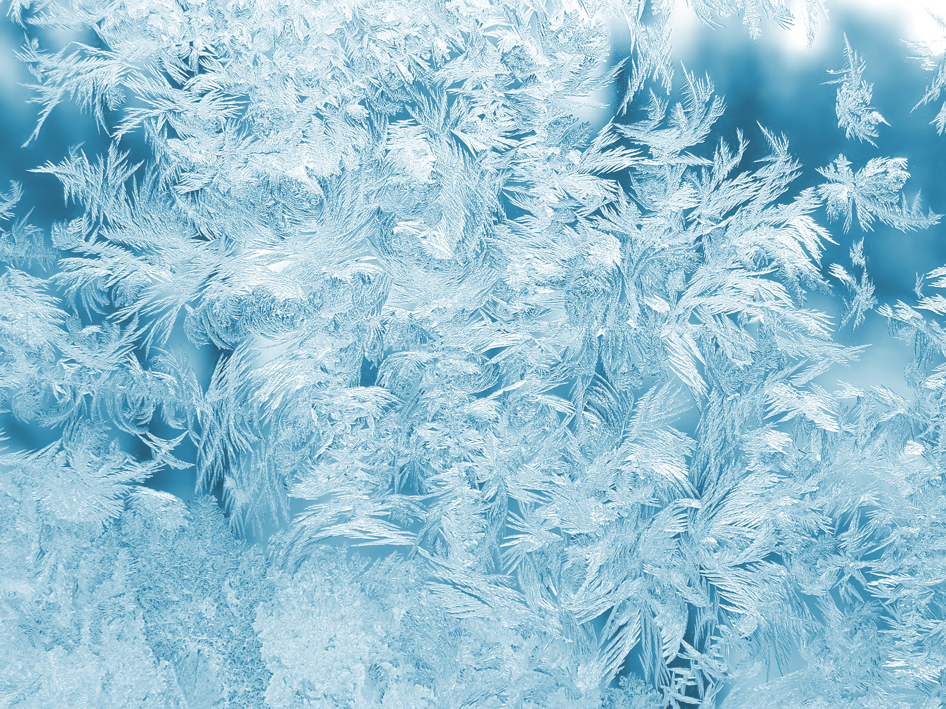 Ice Wallpapers