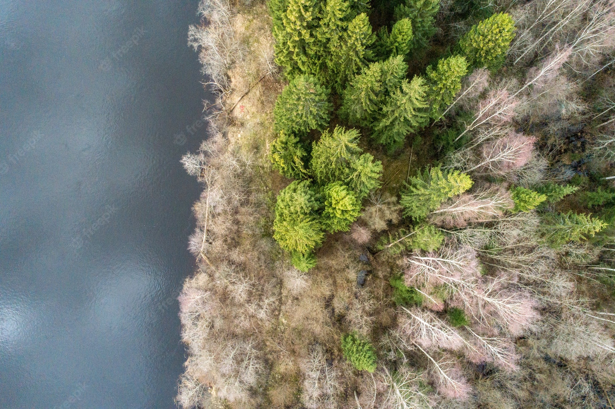 Island Forest Aerial View Wallpapers