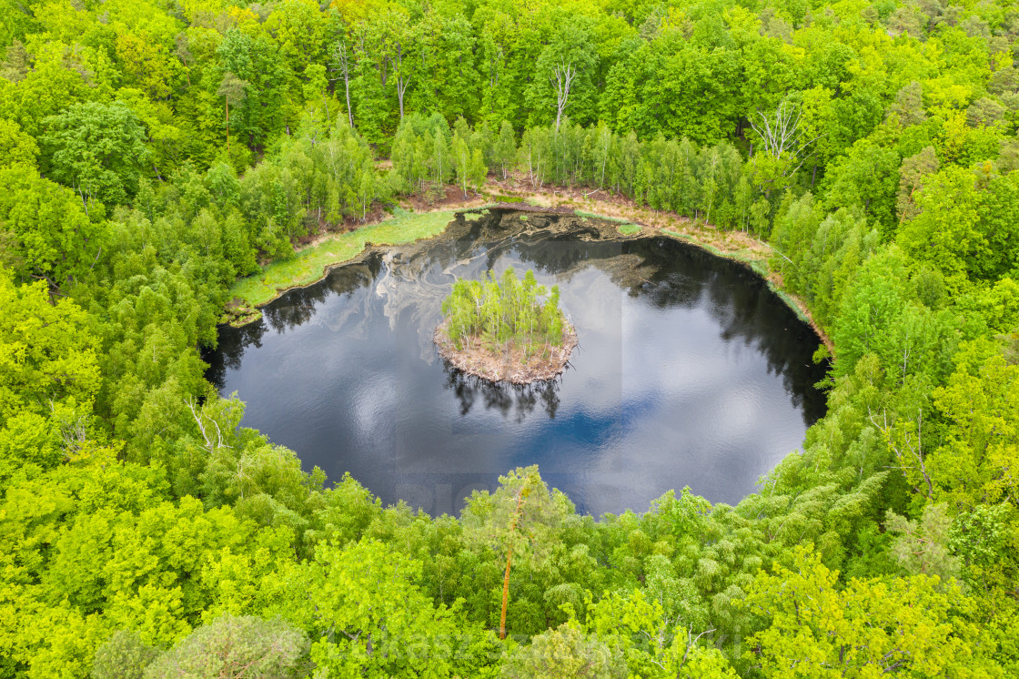 Island Forest Aerial View Wallpapers