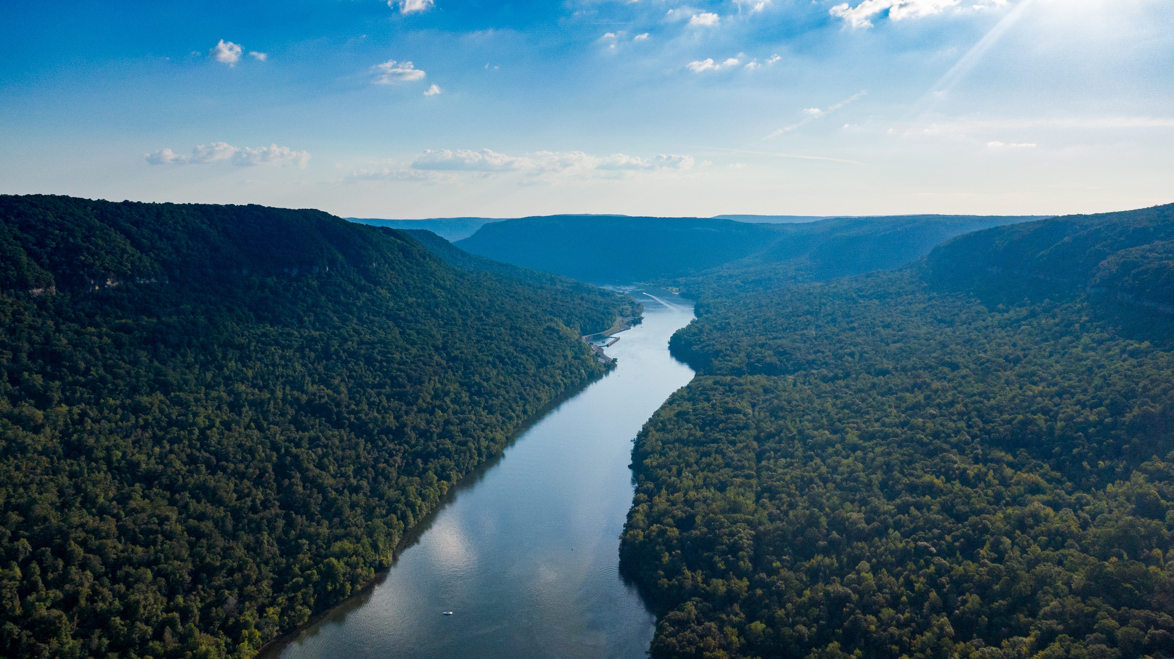 Island Forest Aerial View Wallpapers