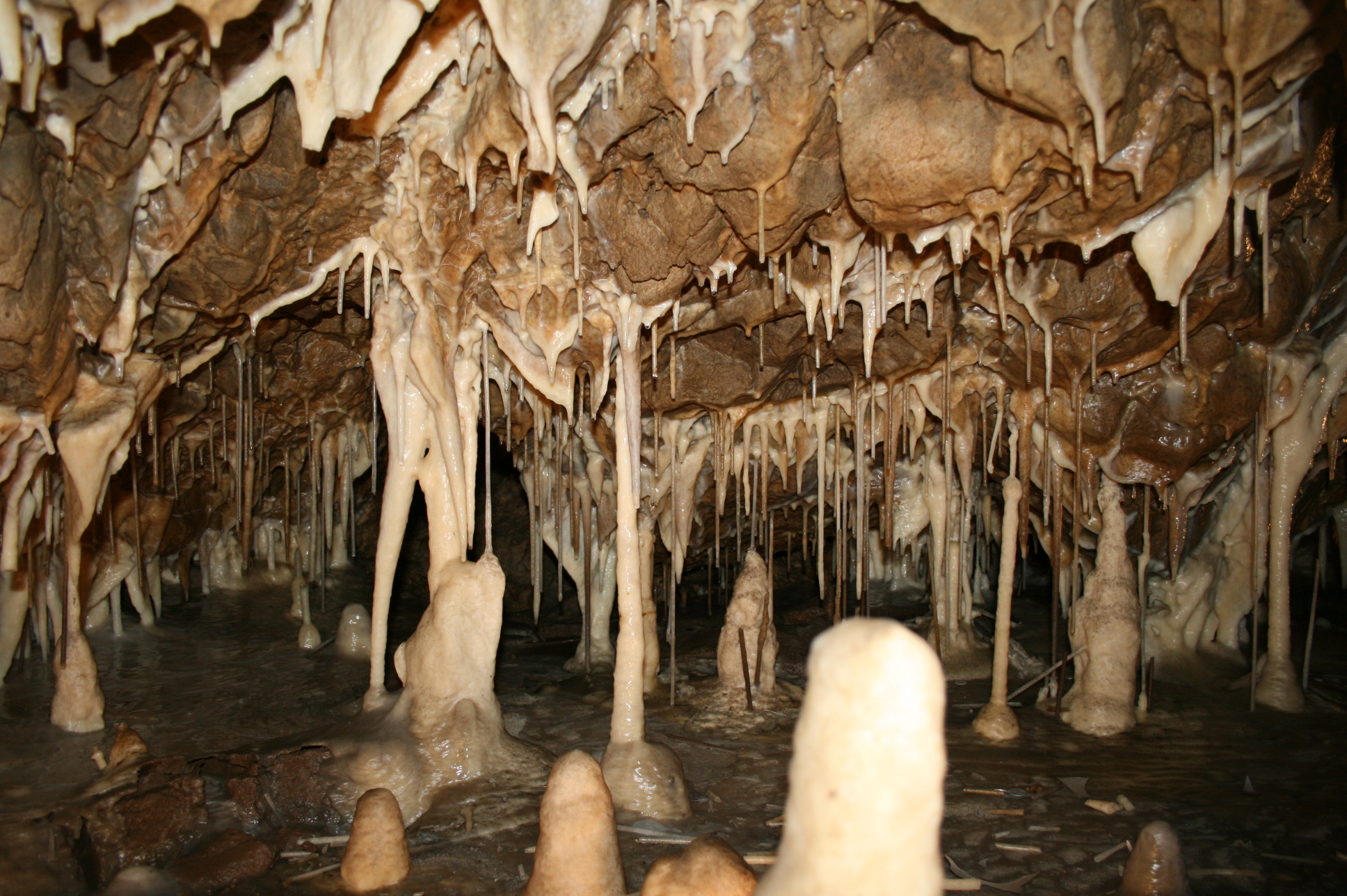 Jenolan Caves Wallpapers