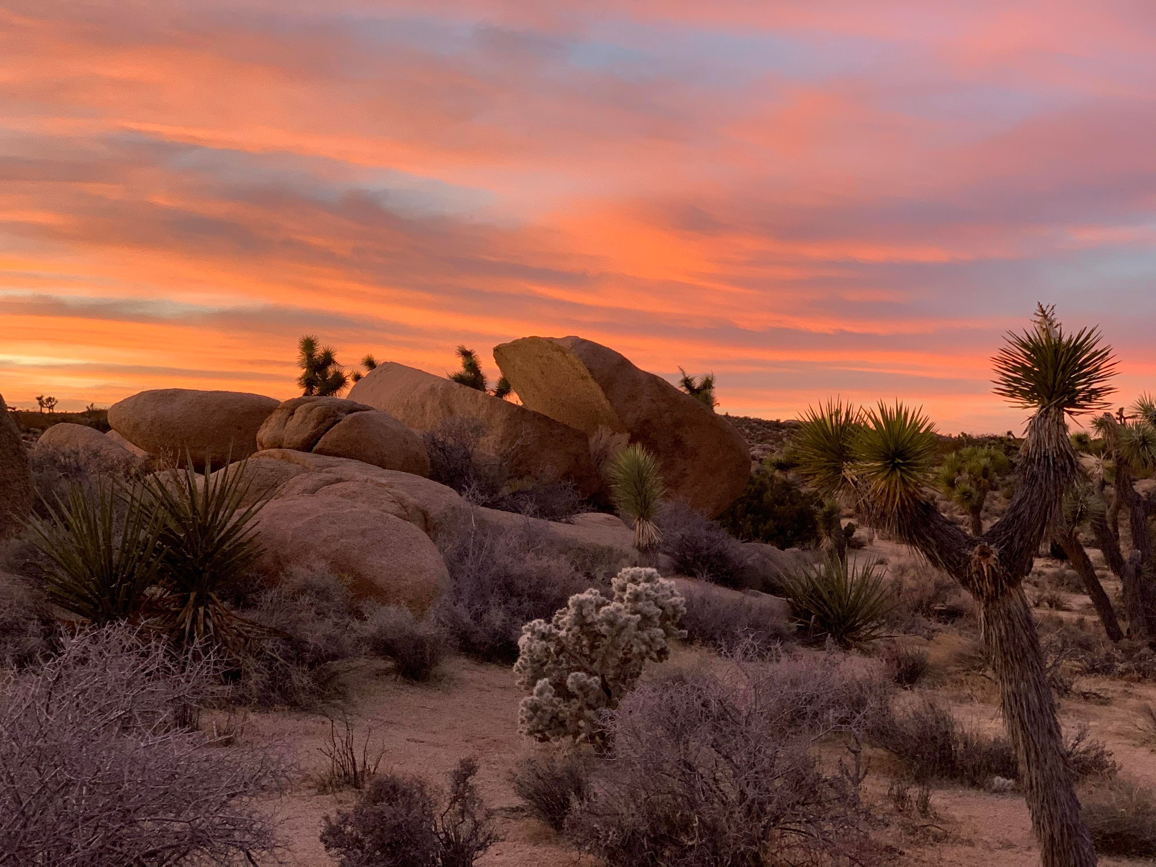 Joshua Tree National Park Wallpapers