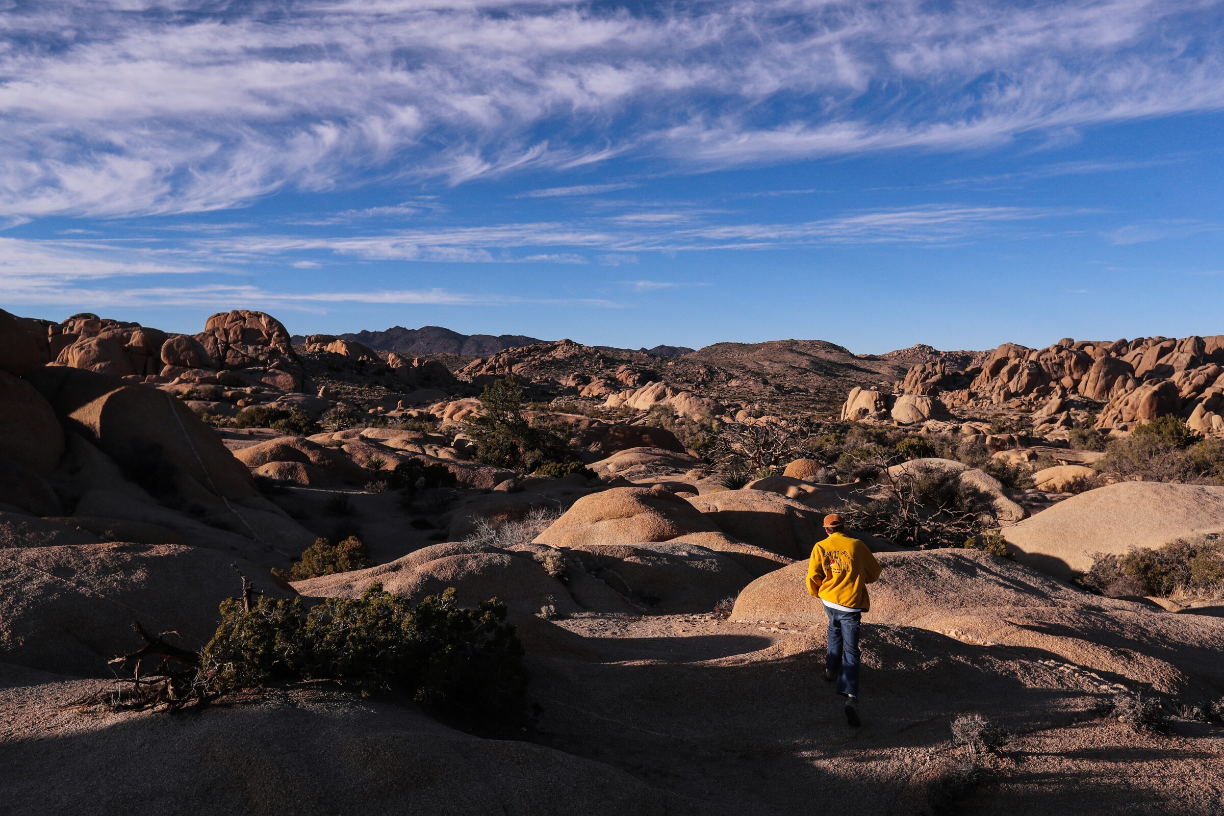 Joshua Tree National Park Wallpapers