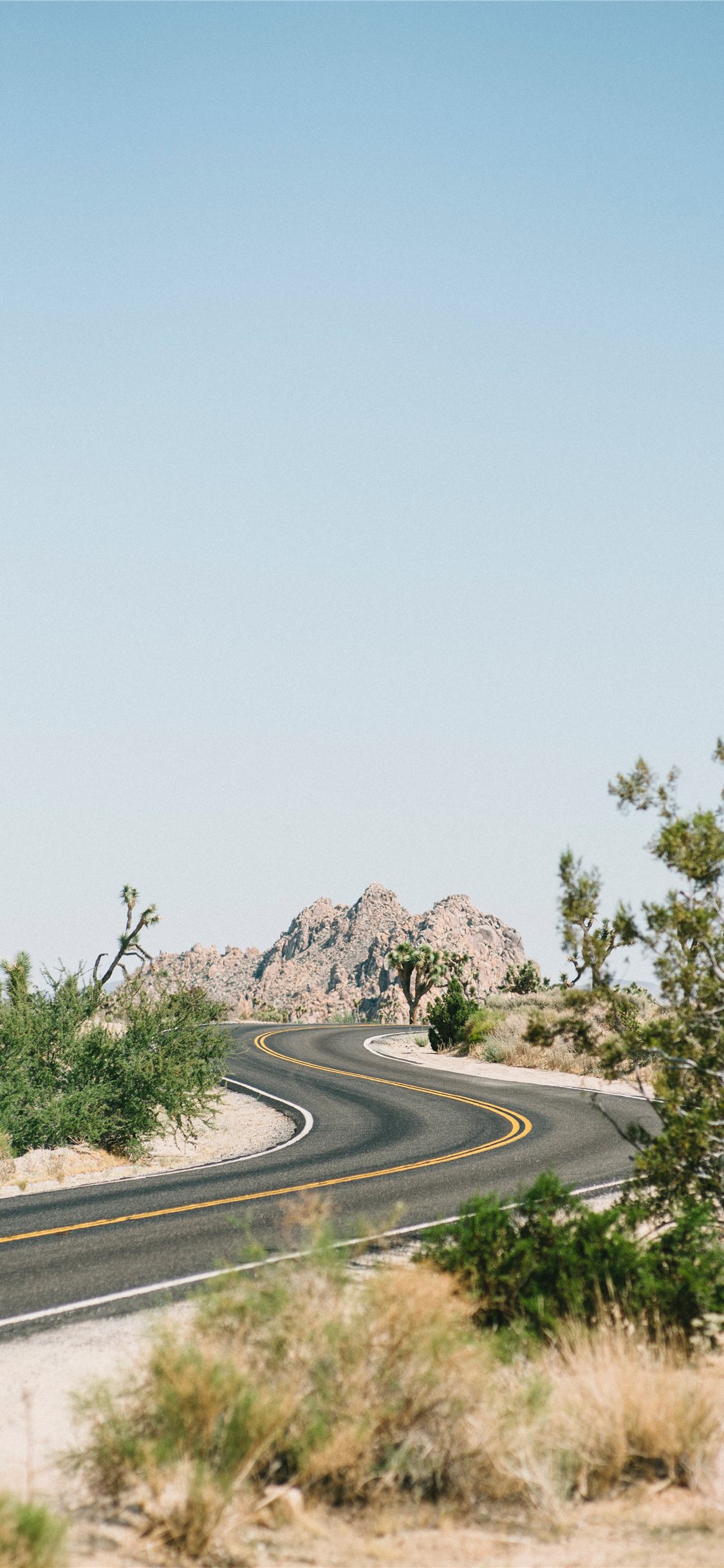 Joshua Tree National Park Wallpapers