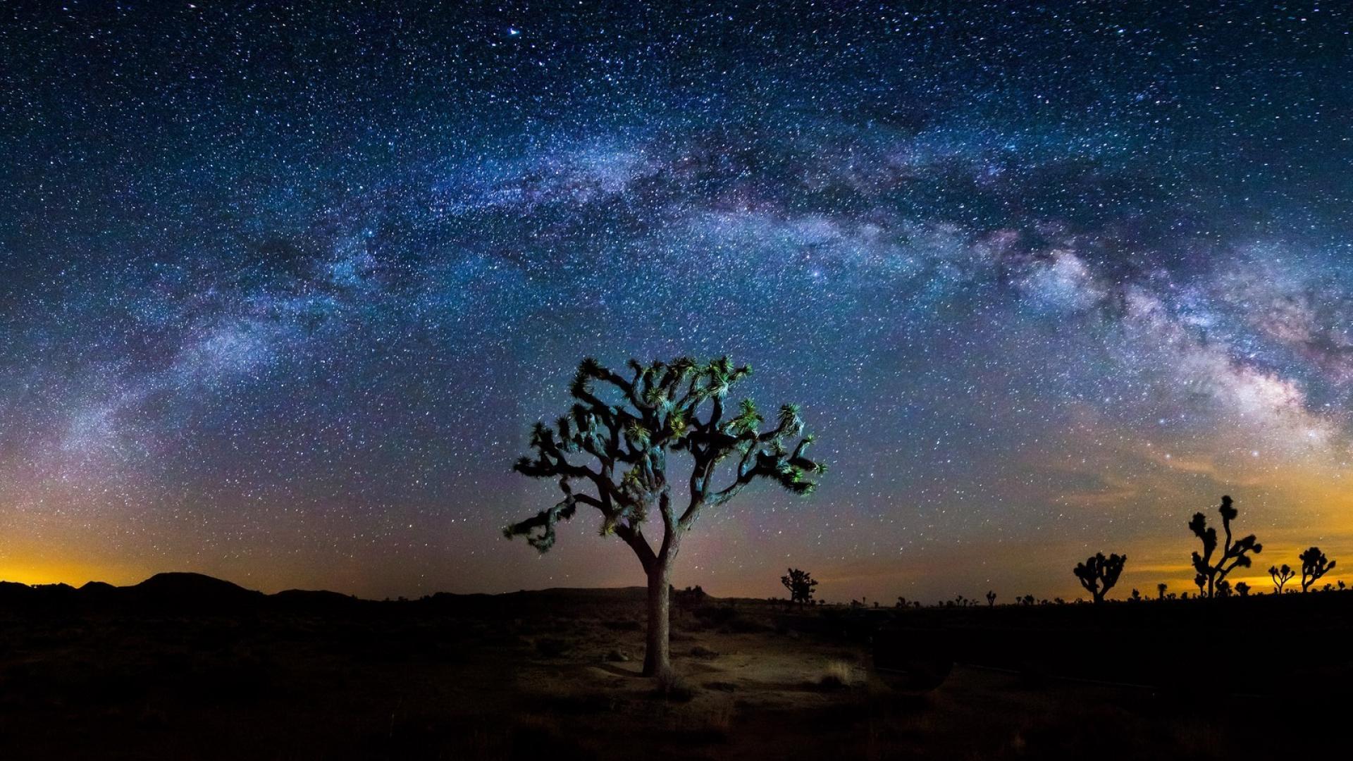 Joshua Tree National Park Wallpapers