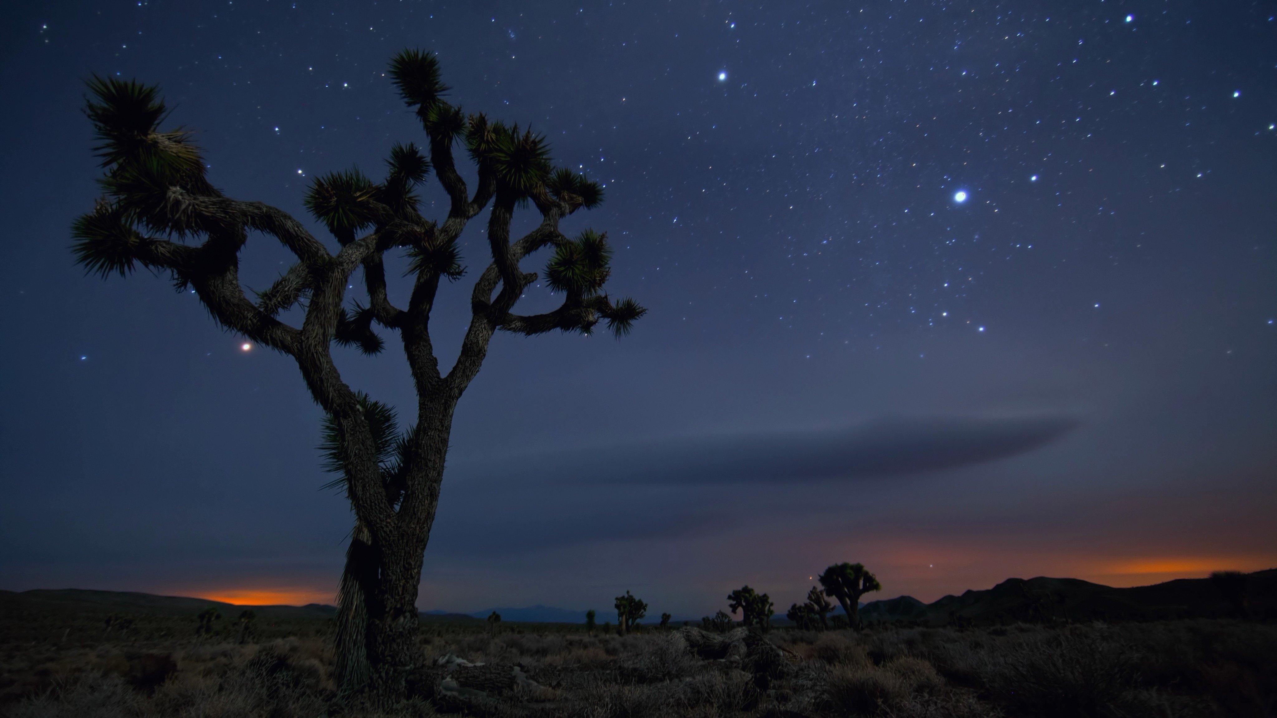 Joshua Tree National Park Wallpapers