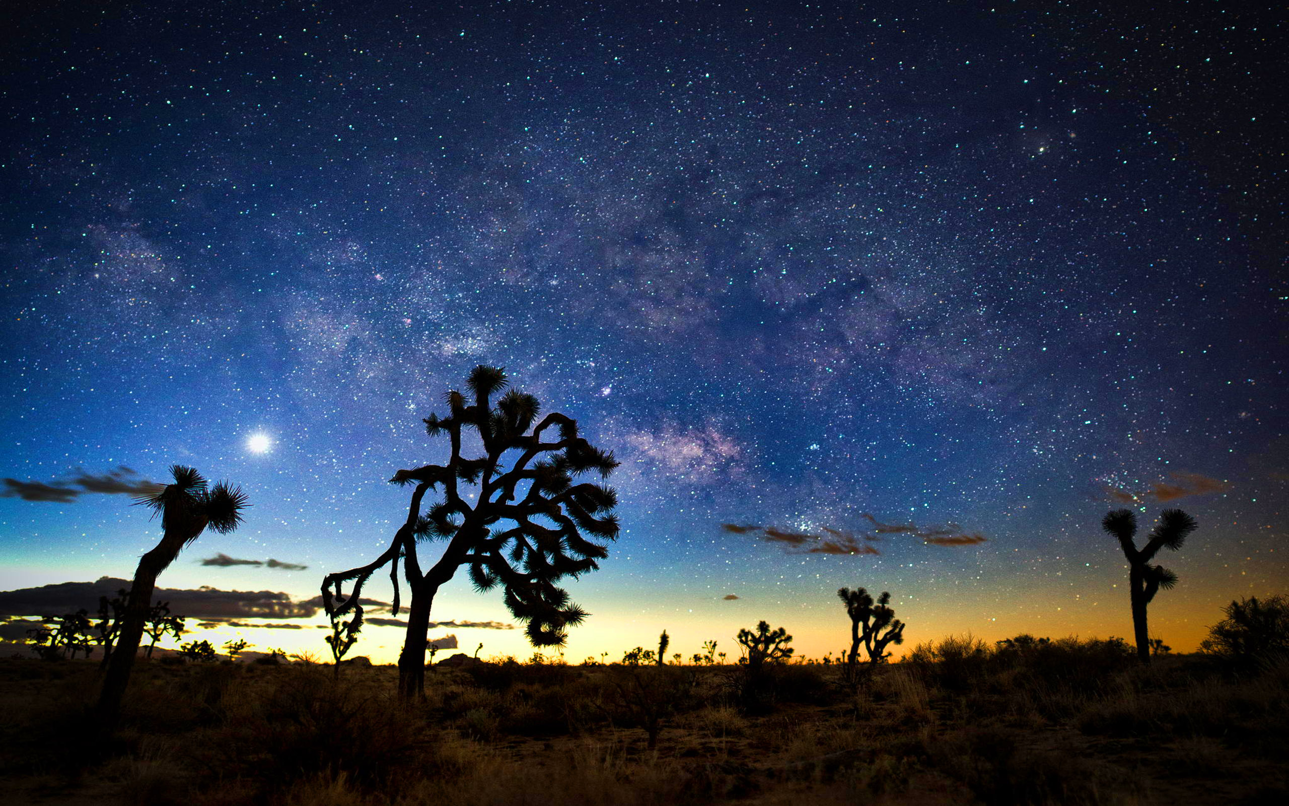 Joshua Tree National Park Wallpapers