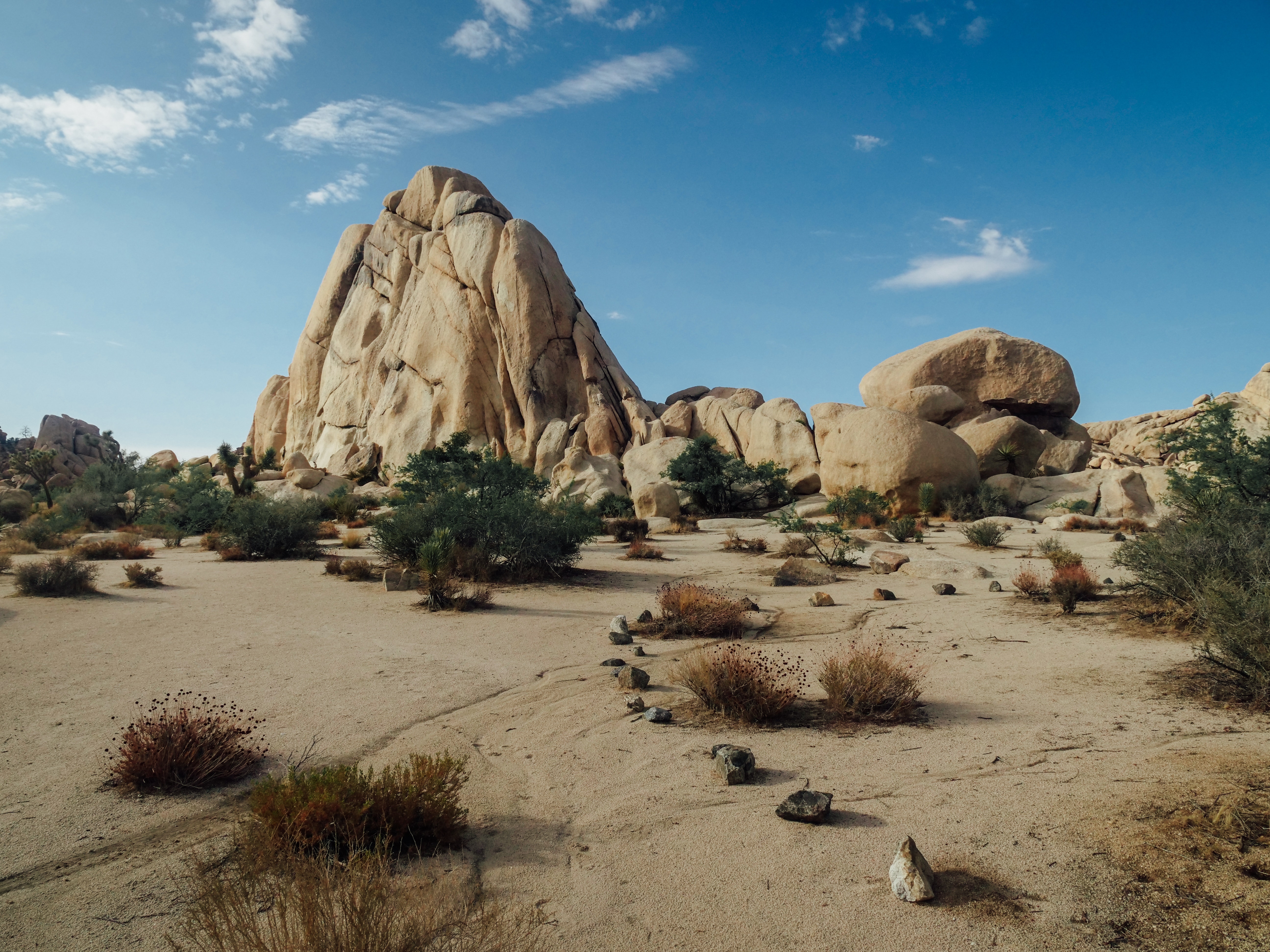 Joshua Tree National Park Wallpapers