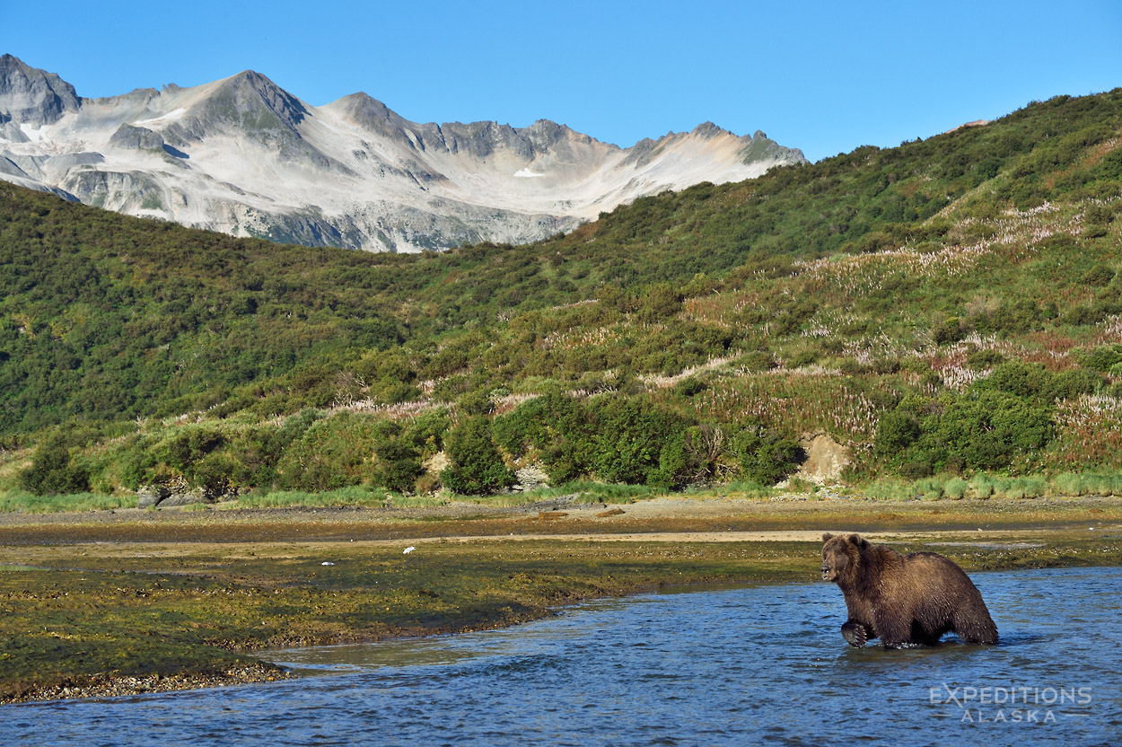 Katmai National Park And Preserve Wallpapers