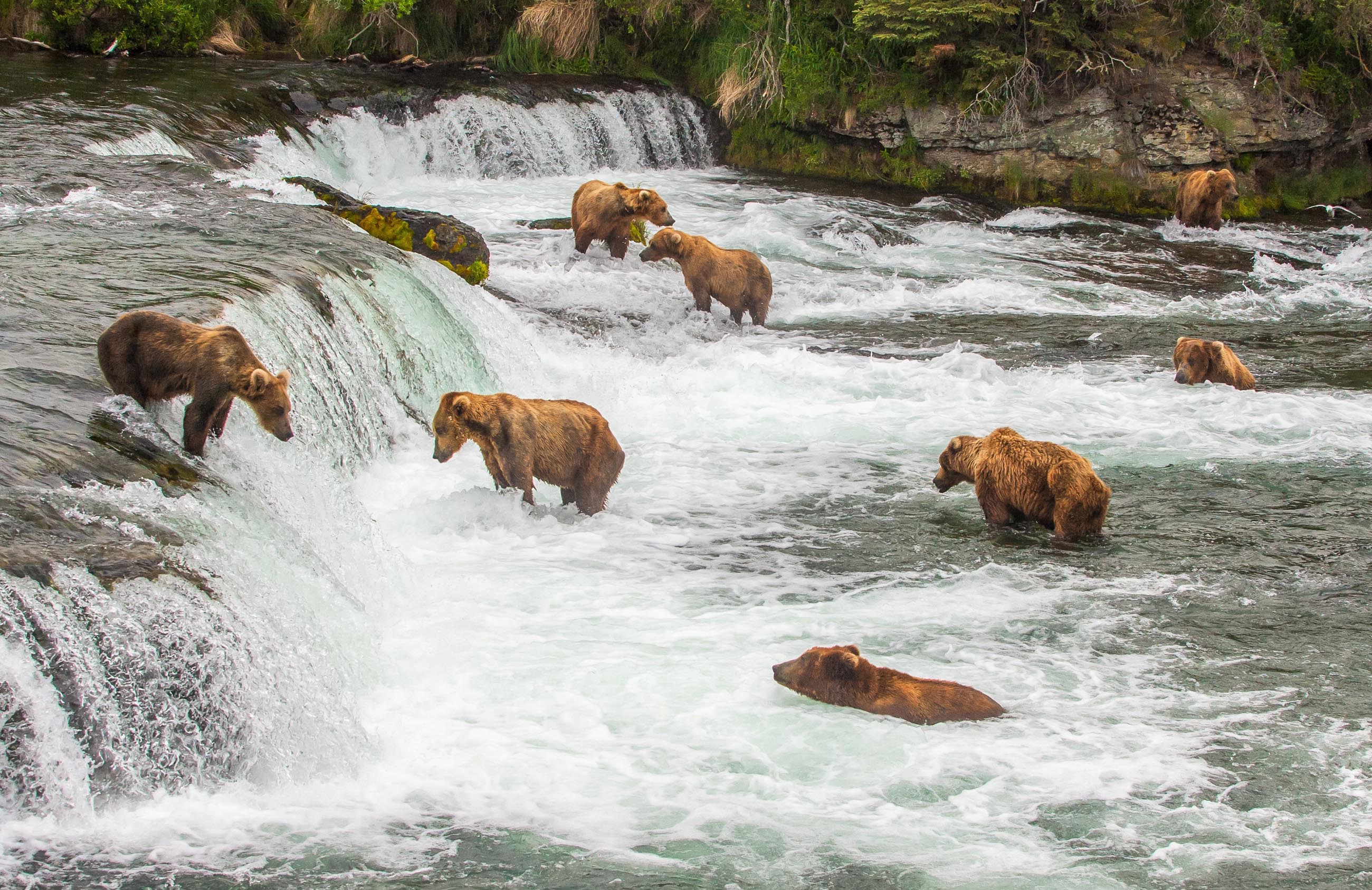 Katmai National Park And Preserve Wallpapers