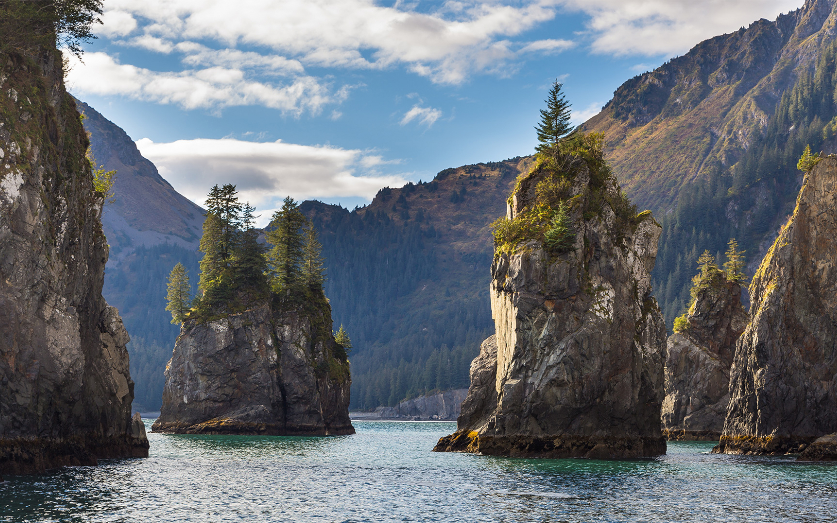 Kenai Fjords National Park Wallpapers