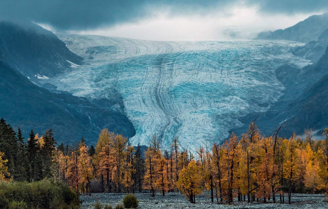 Kenai Fjords National Park Wallpapers