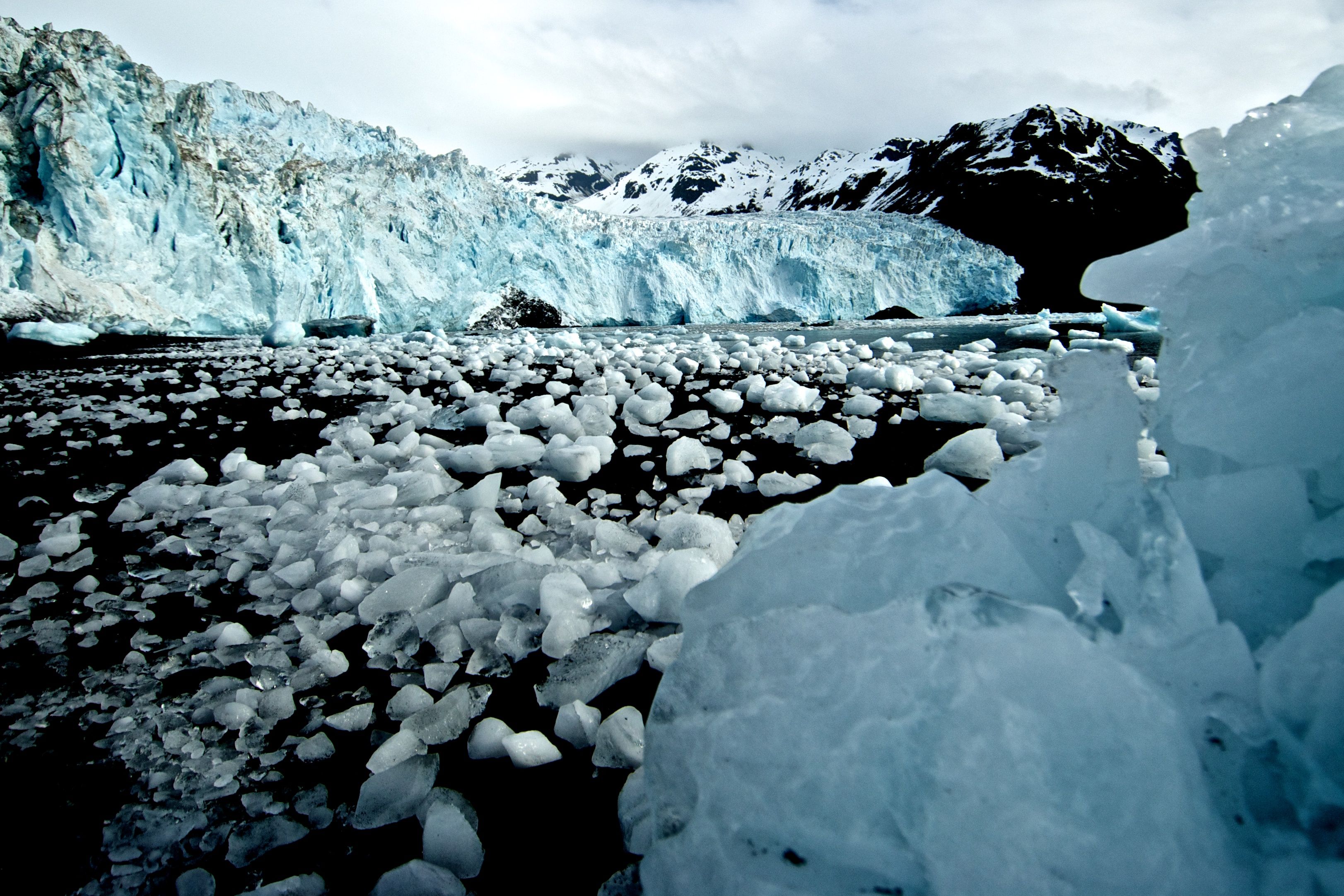 Kenai Fjords National Park Wallpapers