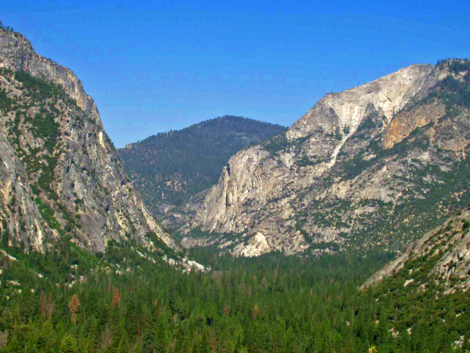 Kings Canyon National Park Wallpapers