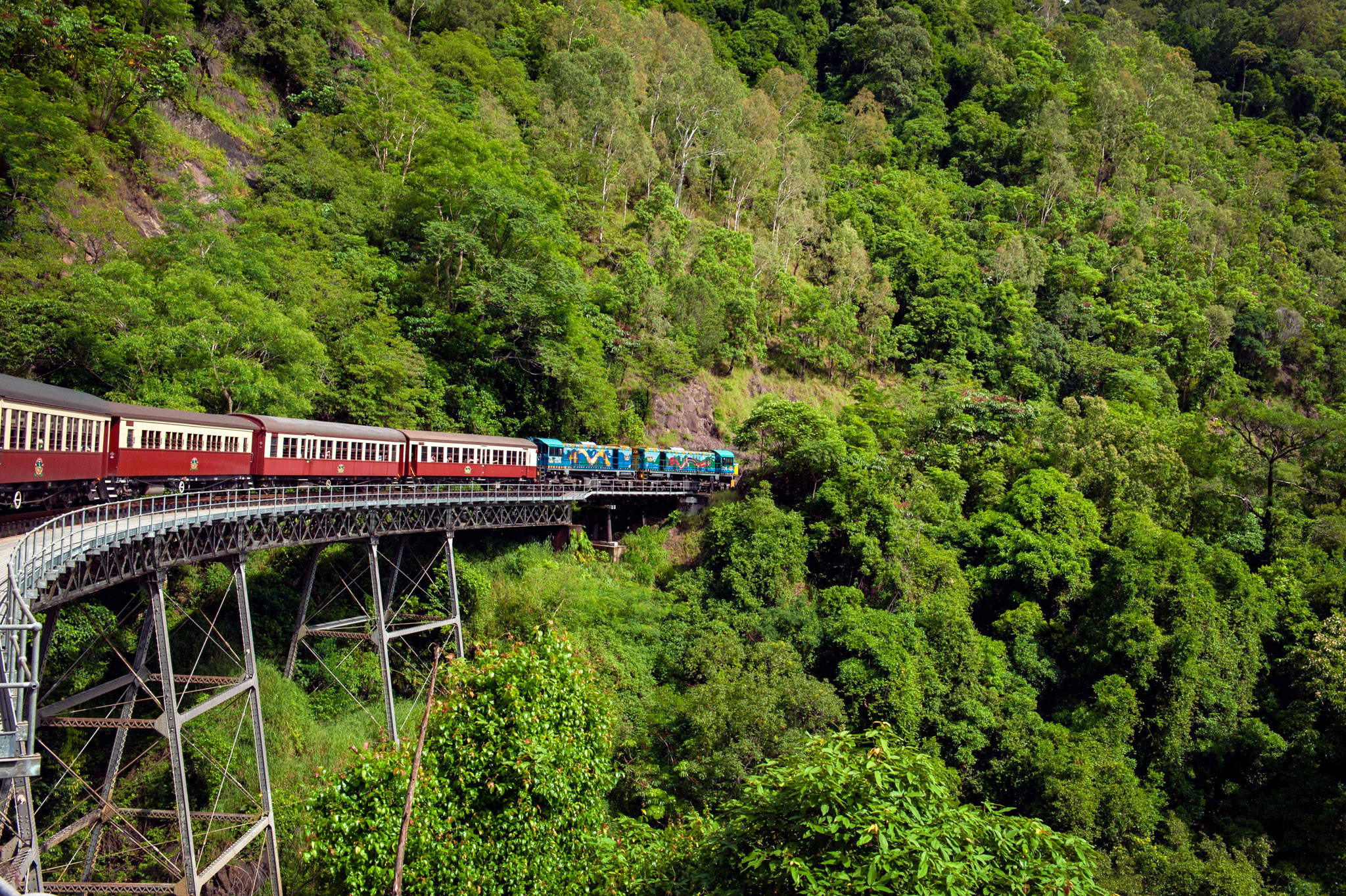 Kuranda Rianforest Wallpapers