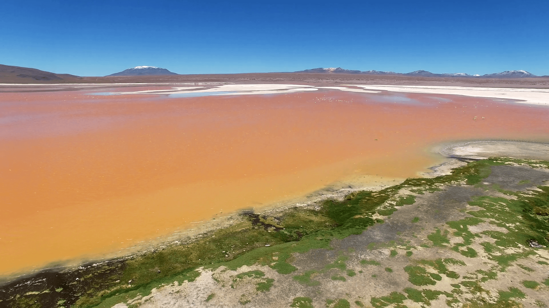 Laguna Colorada Wallpapers