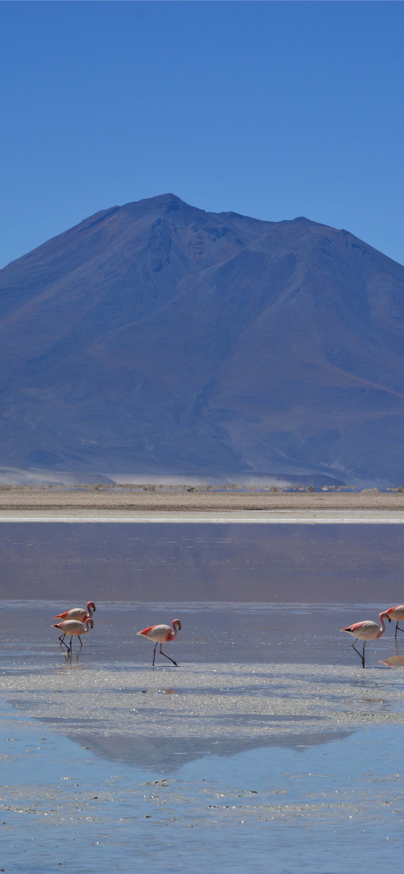 Laguna Colorada Wallpapers