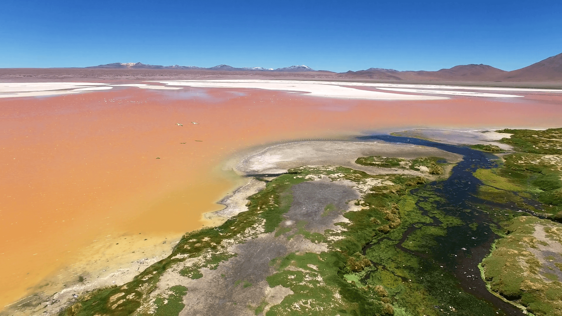 Laguna Colorada Wallpapers