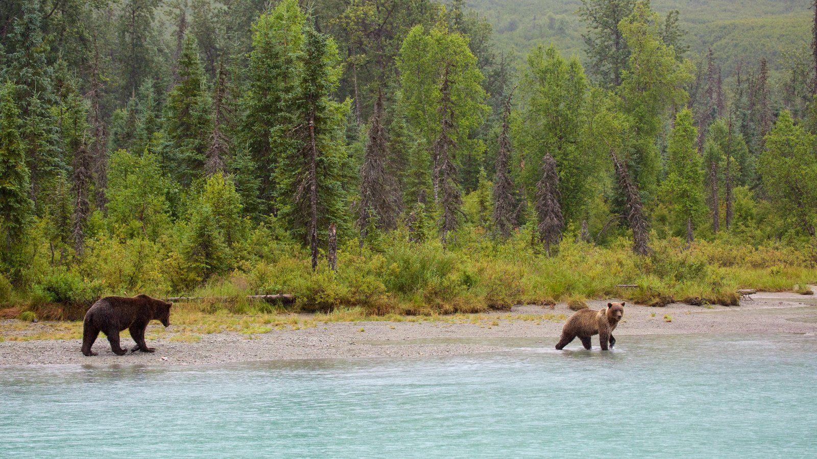 Lake Clark National Park And Preserve Wallpapers