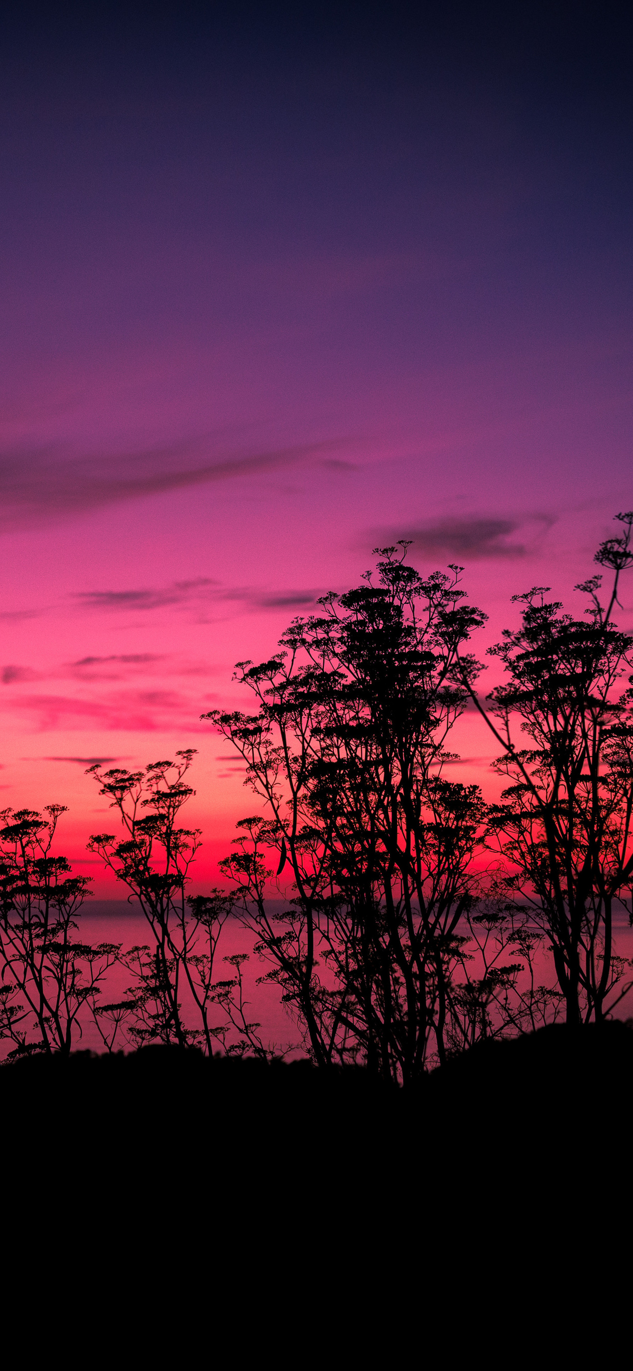 Lake House And Pink Sky Sunset Wallpapers