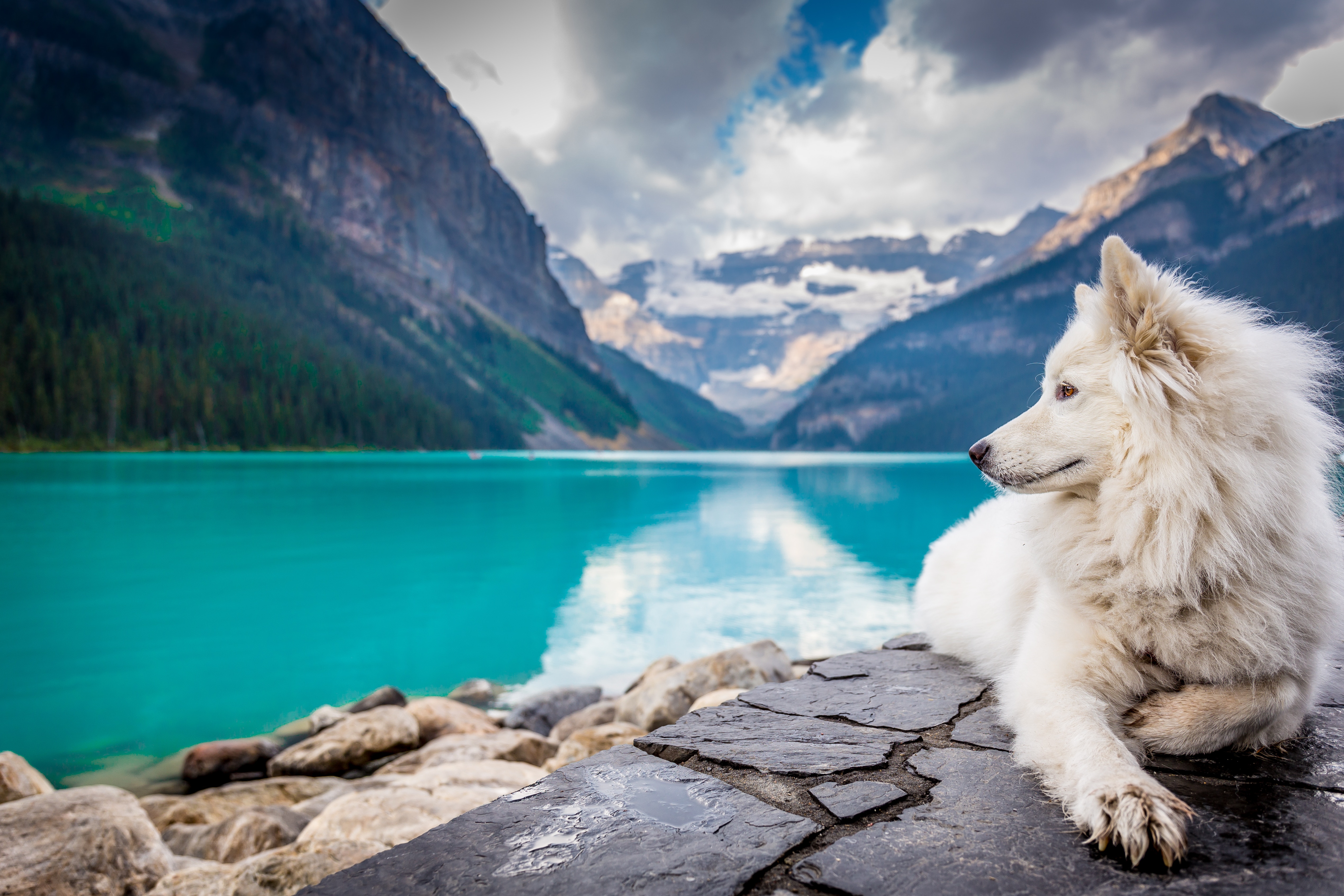 Lake Louise Wallpapers