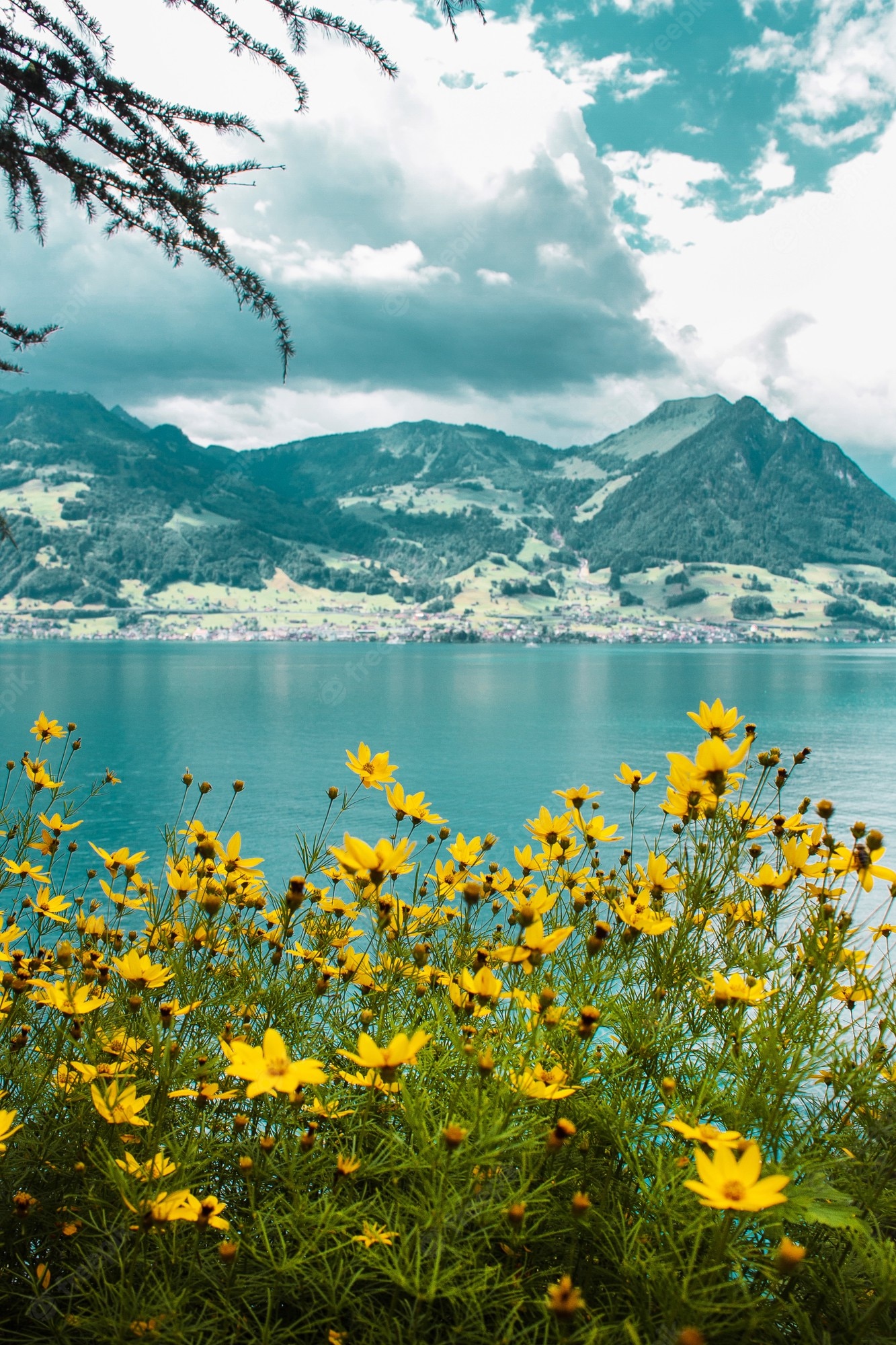 Lake Lucern Landscape Mountains Wallpapers