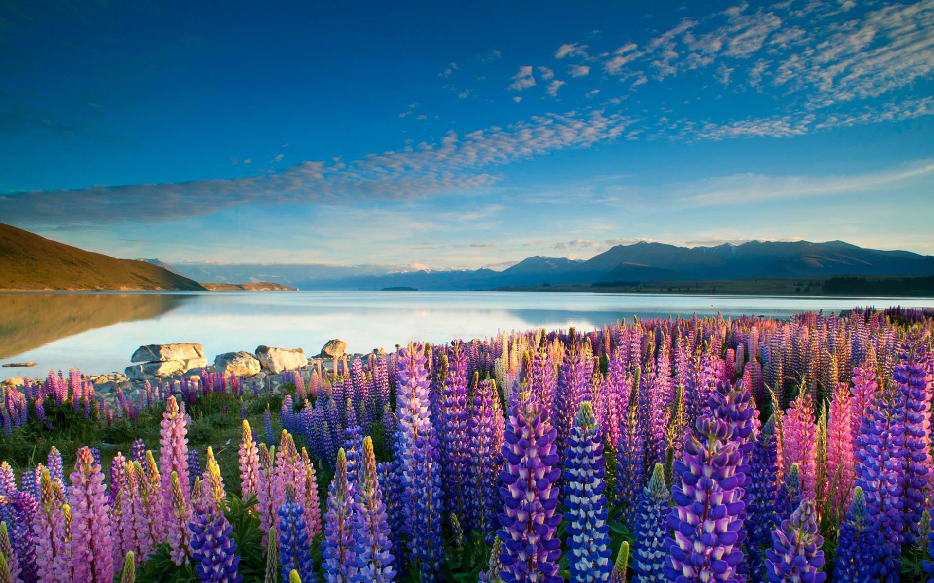 Lake Tekapo Wallpapers