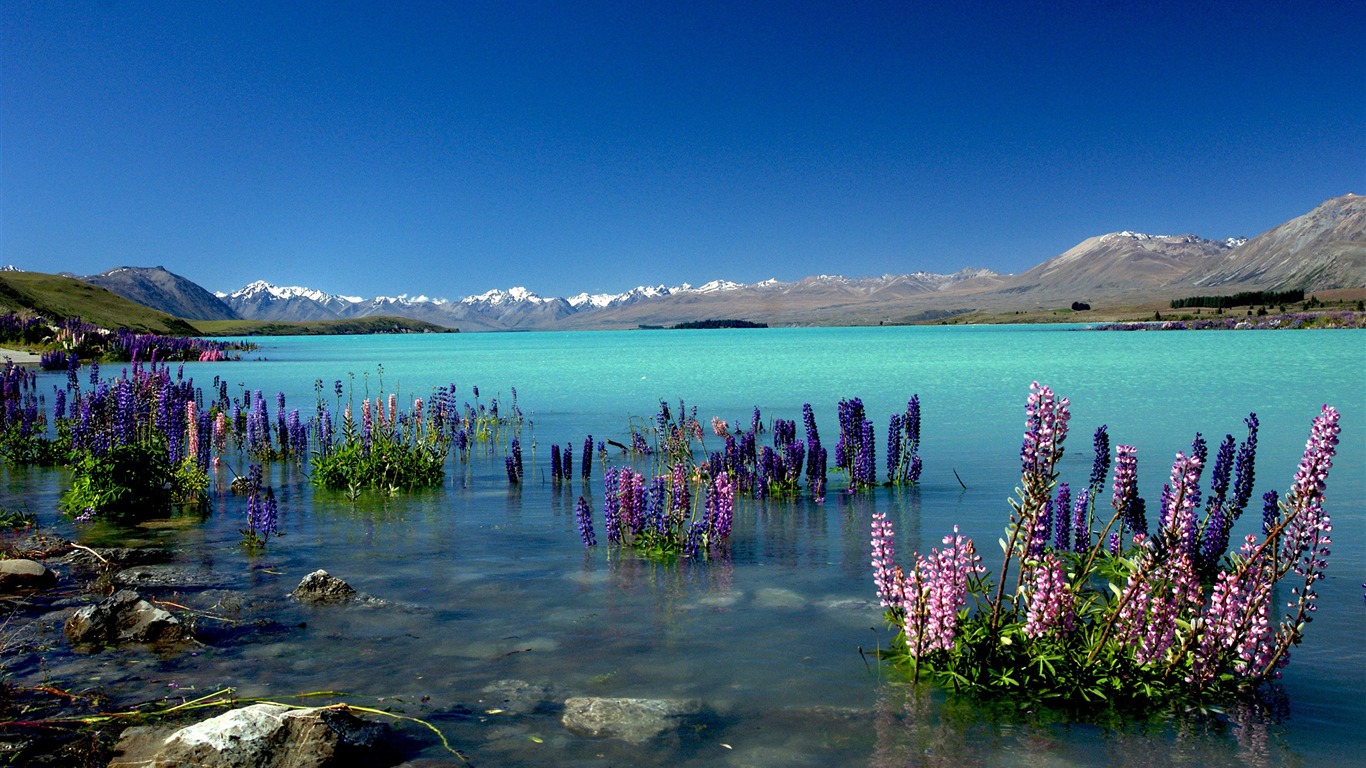 Lake Tekapo Wallpapers