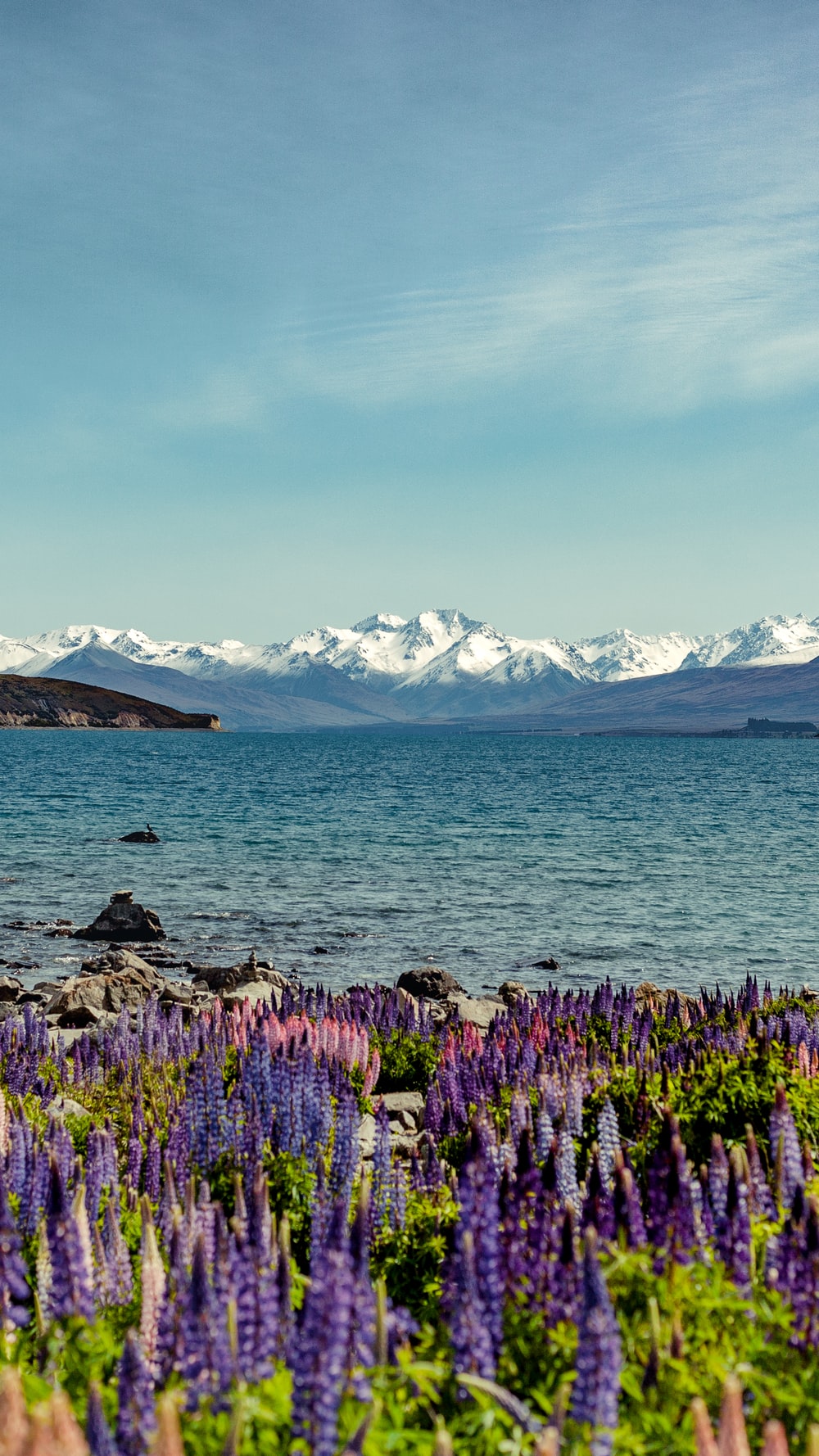 Lake Tekapo Wallpapers