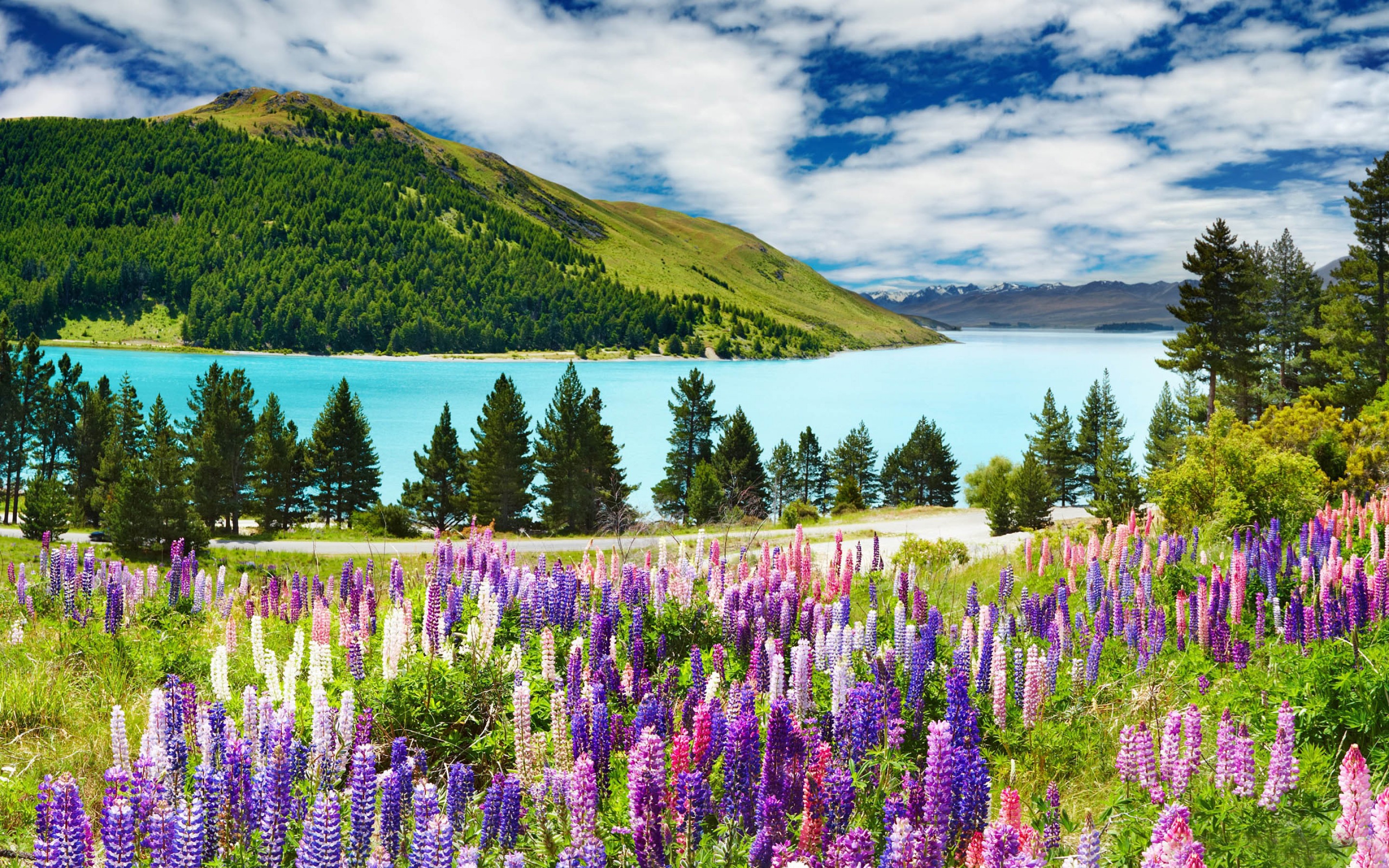 Lake Tekapo Wallpapers