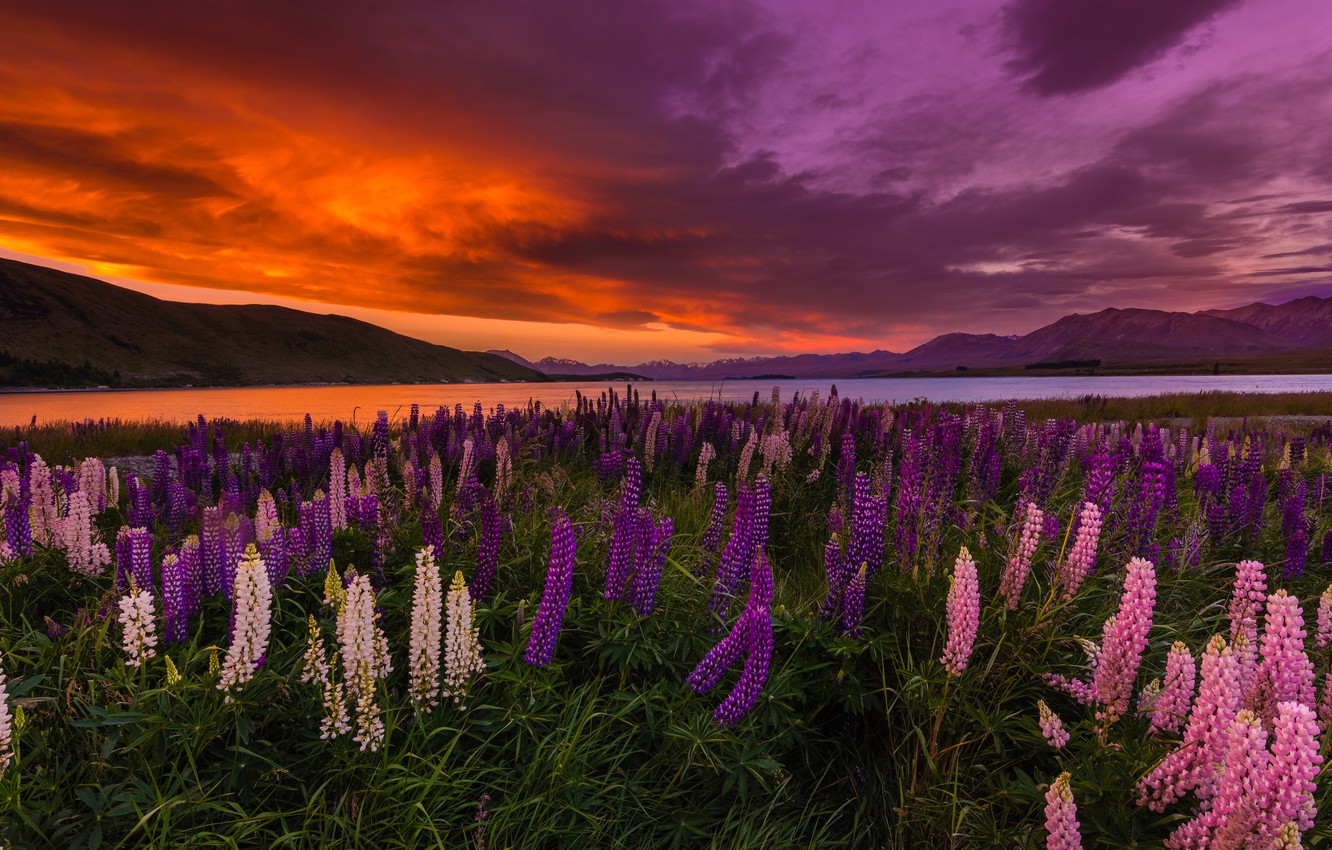 Lake Tekapo Wallpapers