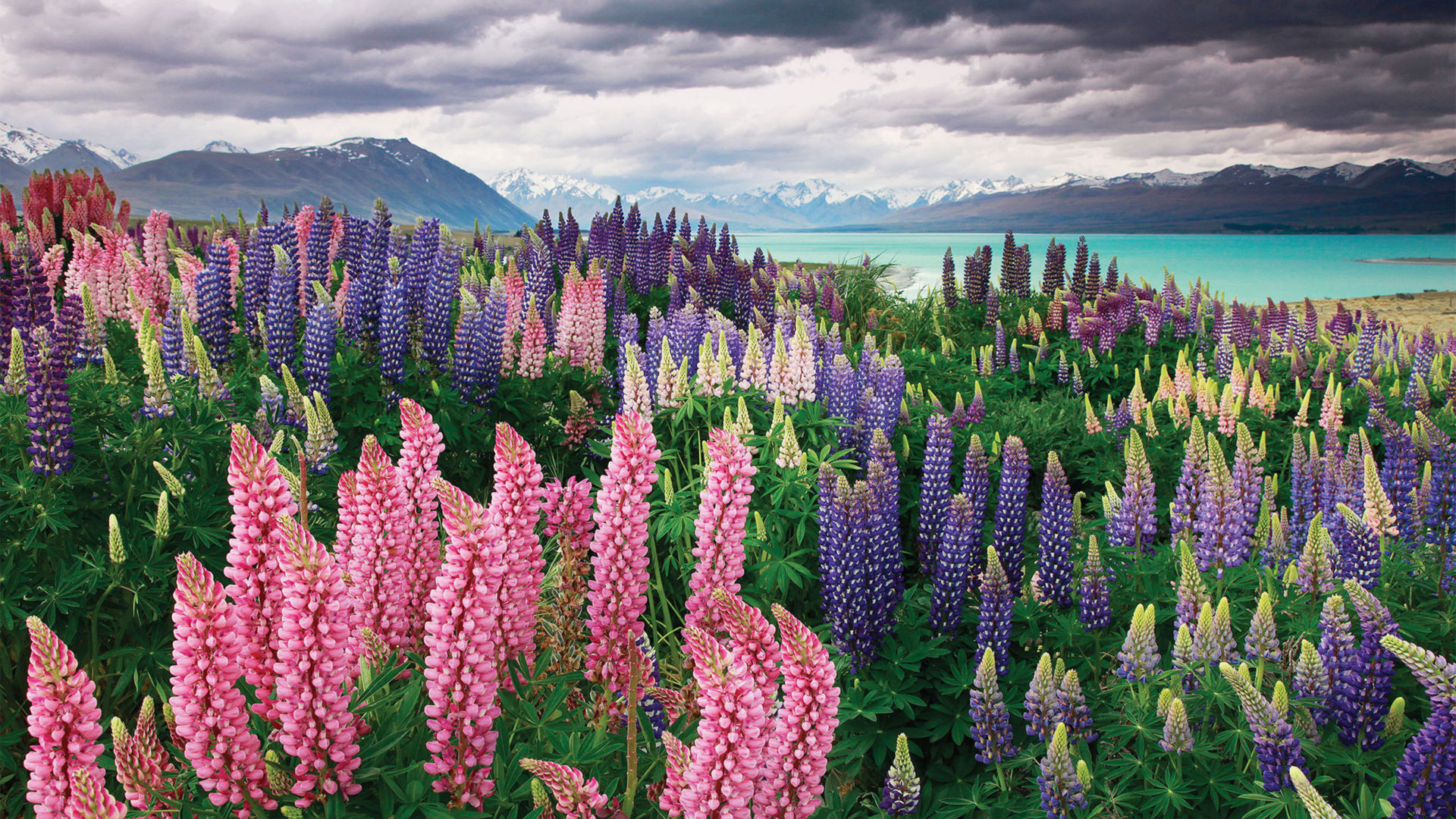 Lake Tekapo Wallpapers