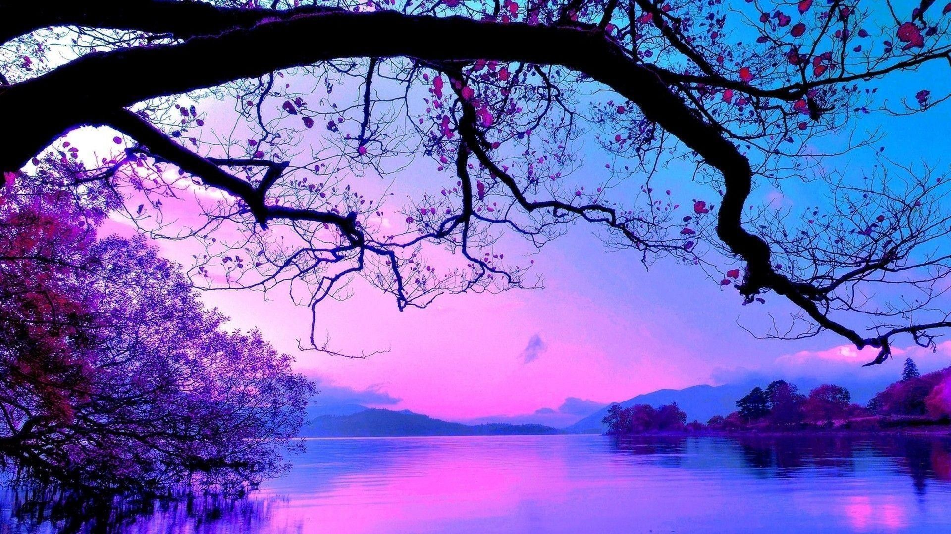 Lake Tree Wallpapers