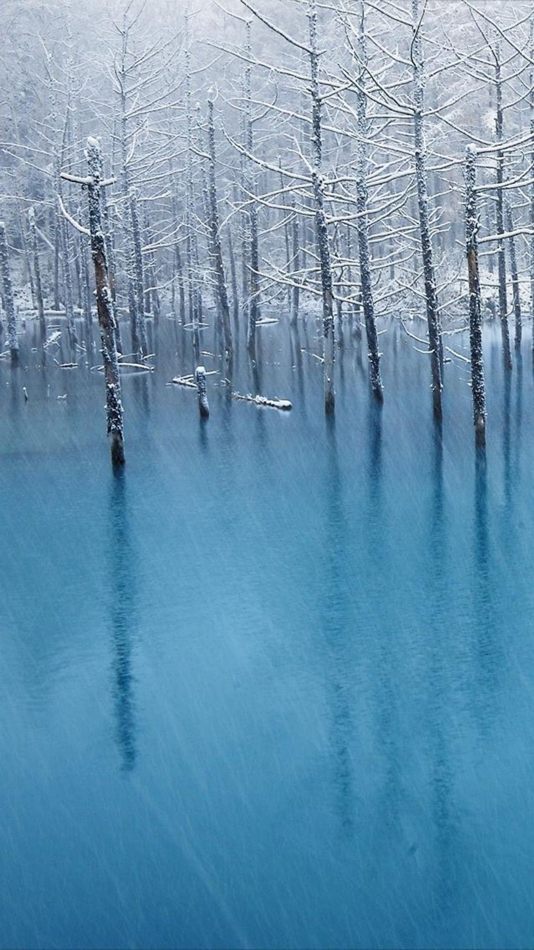 Lake Tree Wallpapers