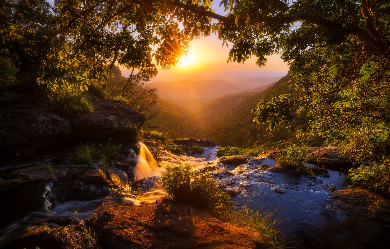 Lamington National Park Wallpapers