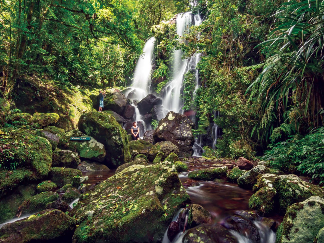 Lamington National Park Wallpapers