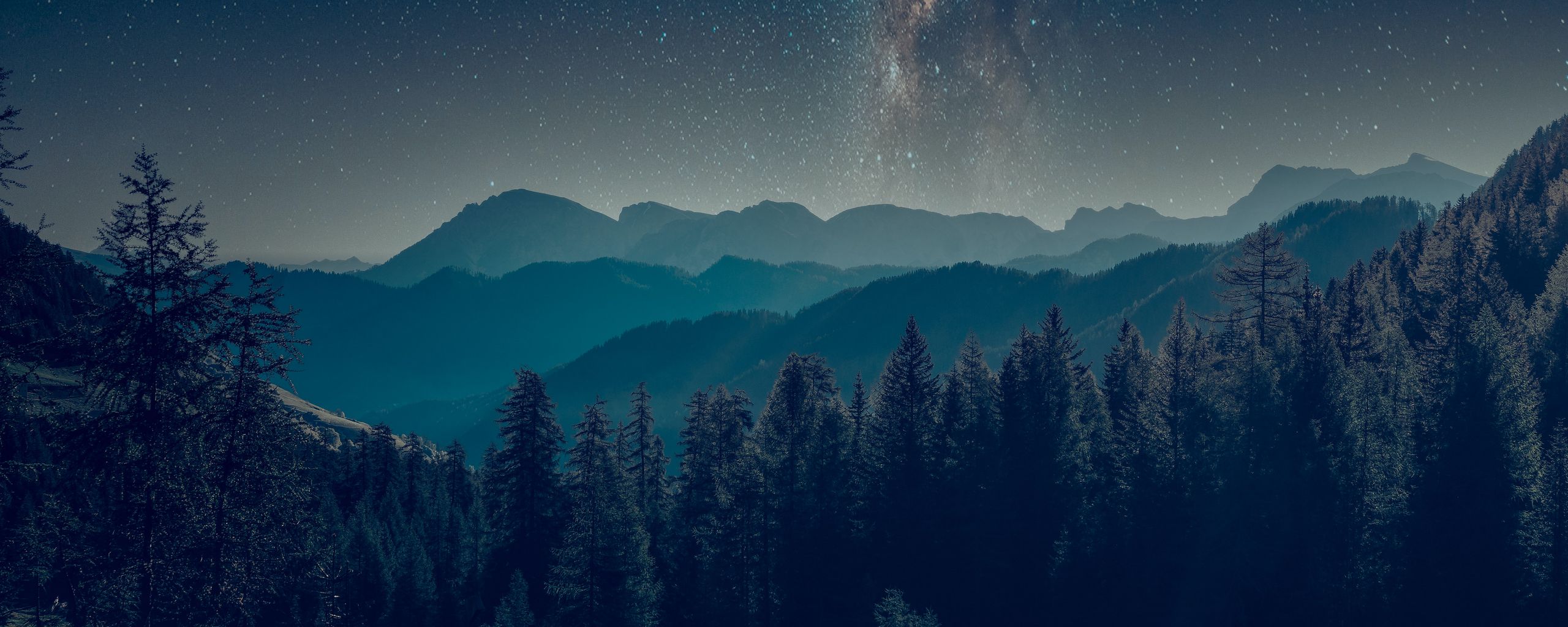 Landscape Forest Mountains In Night Sky Wallpapers