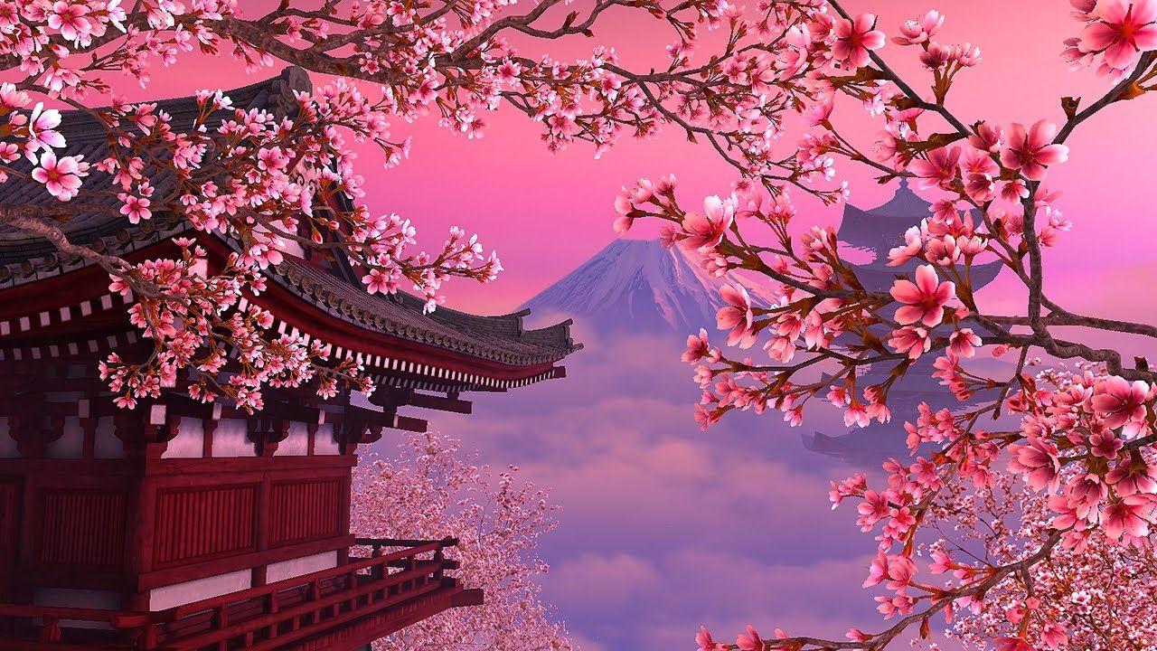 Lava With Cherry Tree Wallpapers