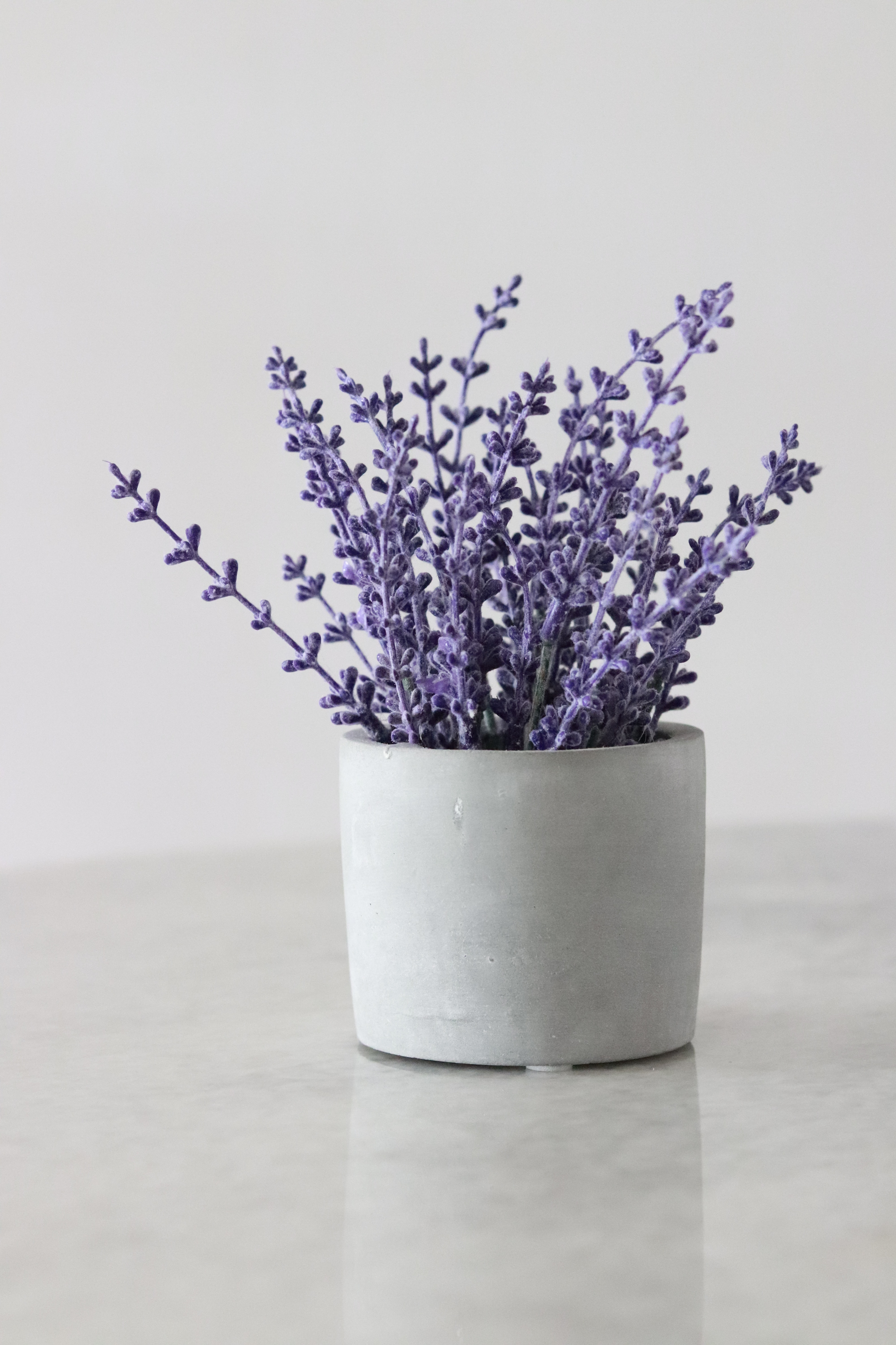 Lavender Wallpapers