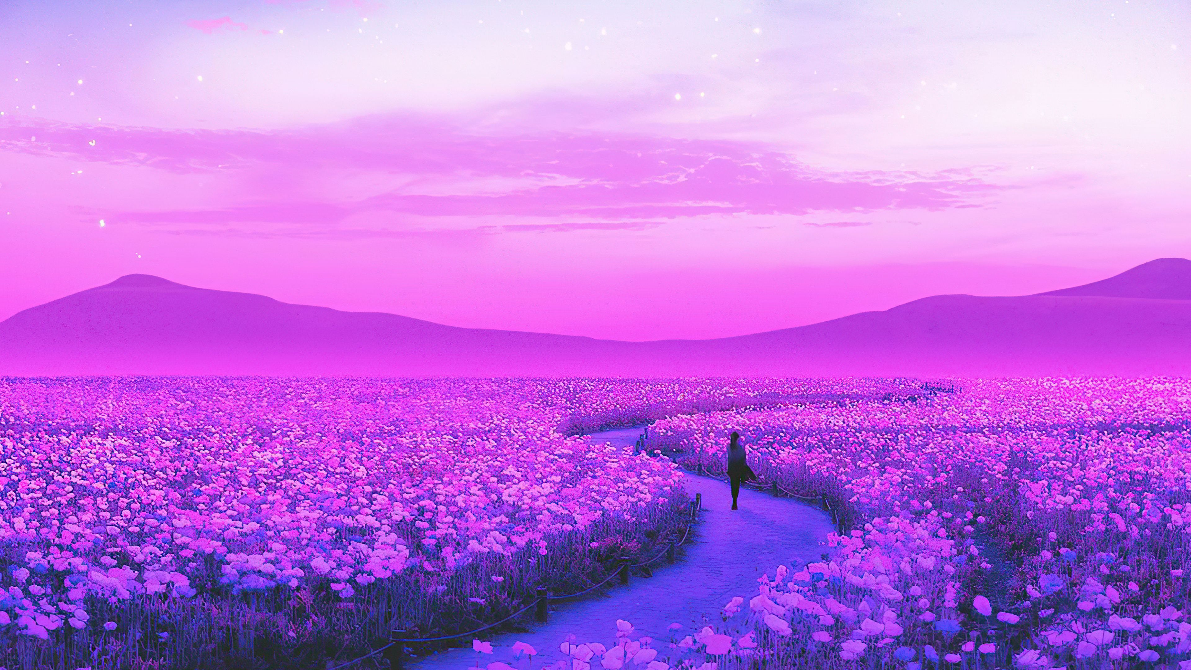 Lavender 4K Amazing Field Wallpapers