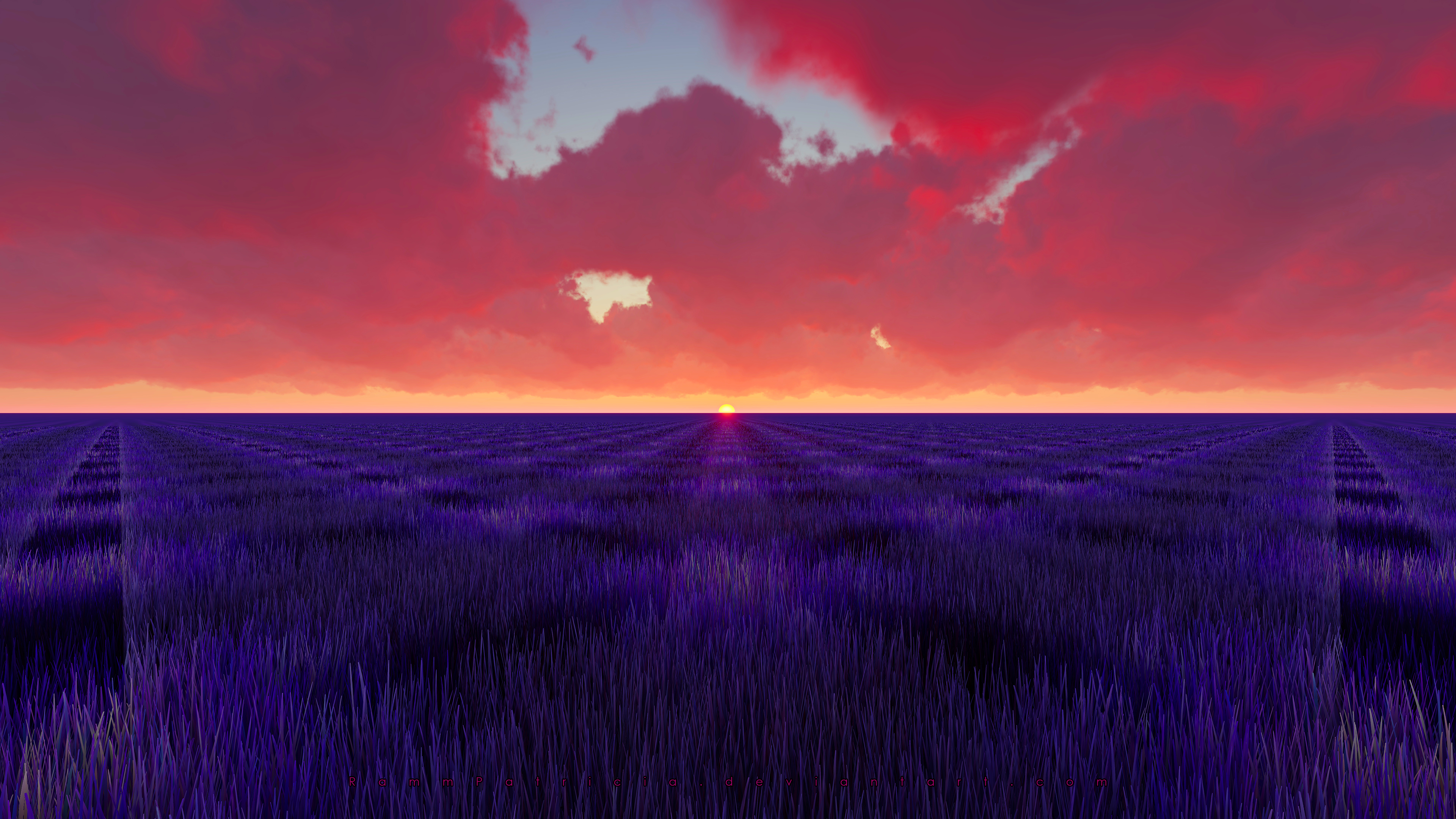 Lavender 4K Amazing Field Wallpapers