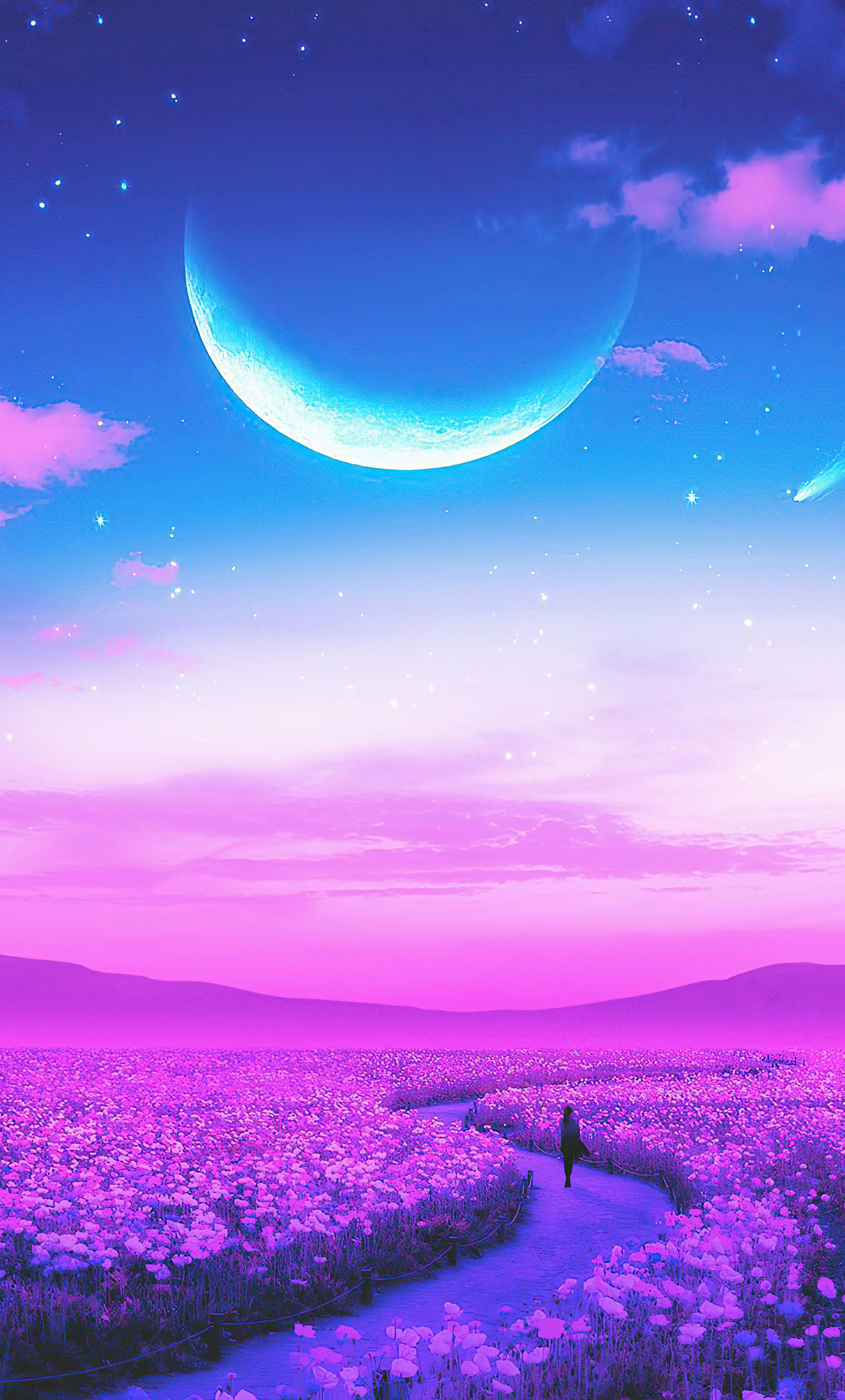 Lavender Field Wallpapers